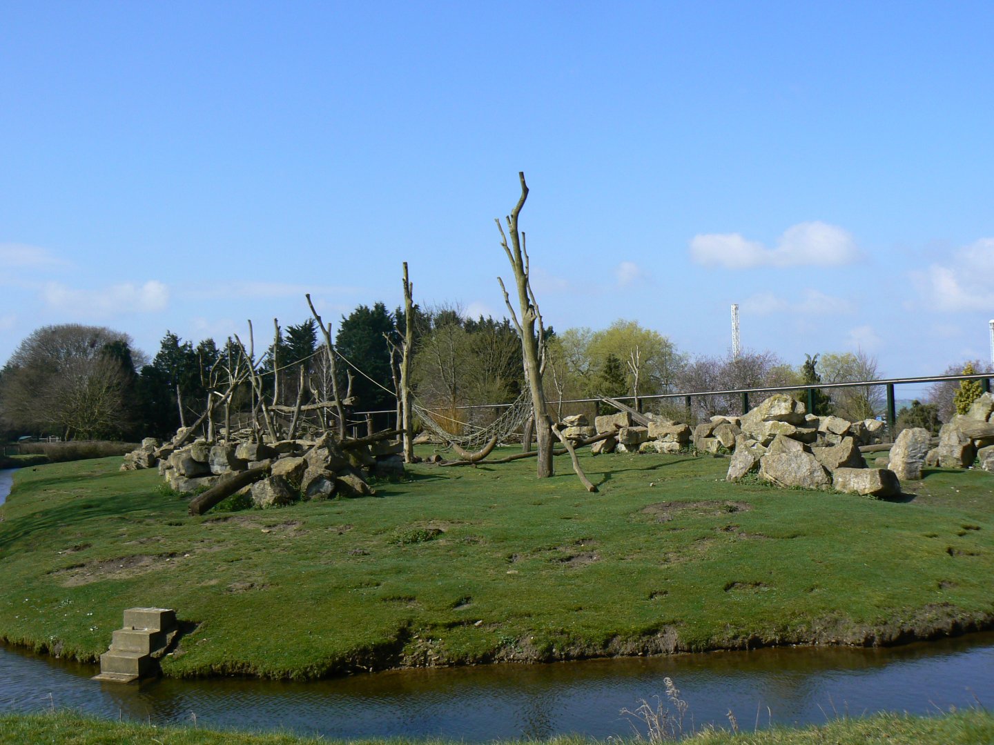 Hamadryas Baboon Enclosure - 23 March 2017