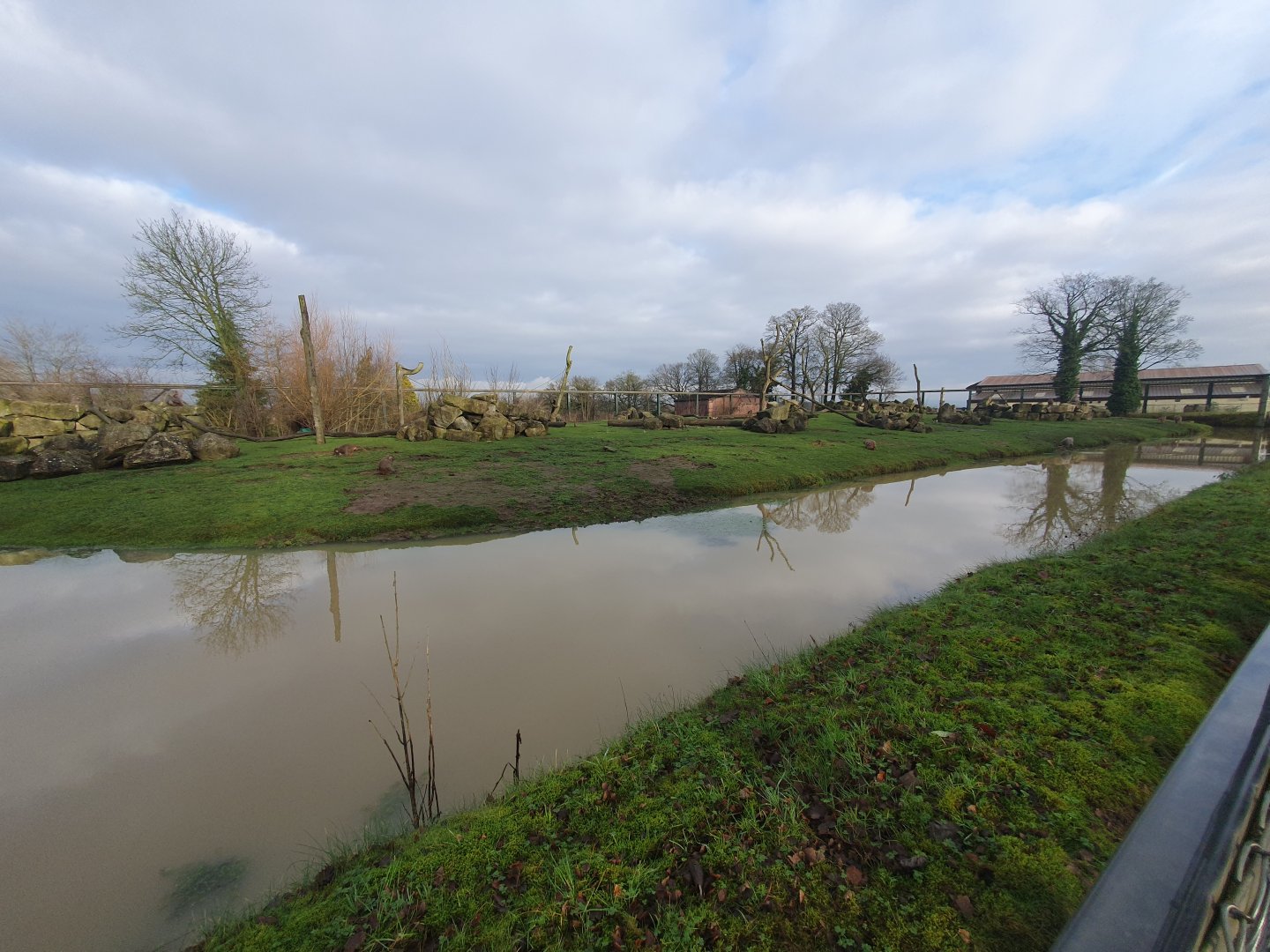 Hamadryas Baboon enclosure 3/1/24