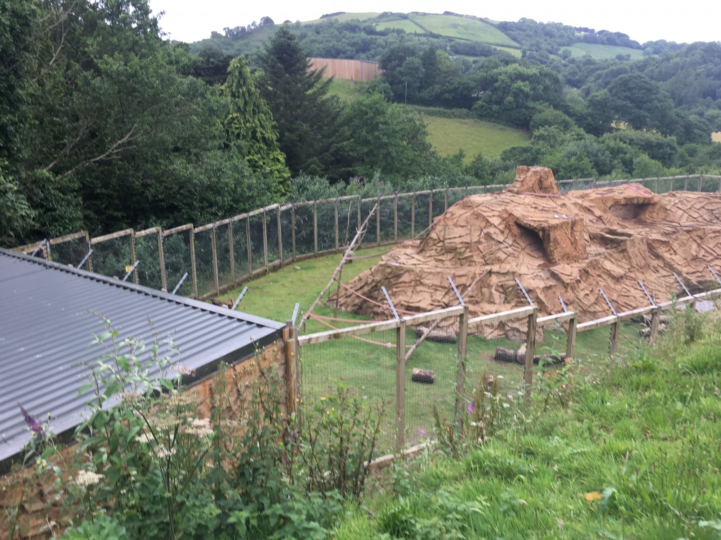 Hamadryas baboon enclosure 300617
