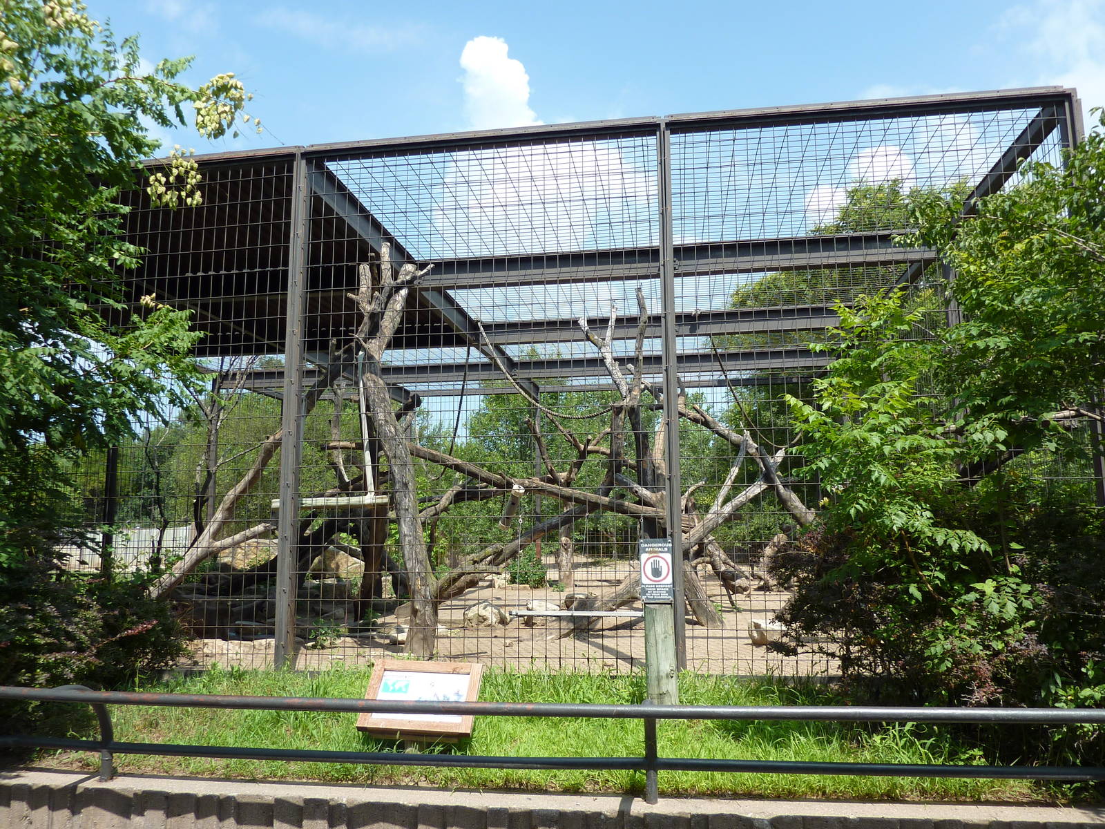 Hamadryas Baboon Enclosure