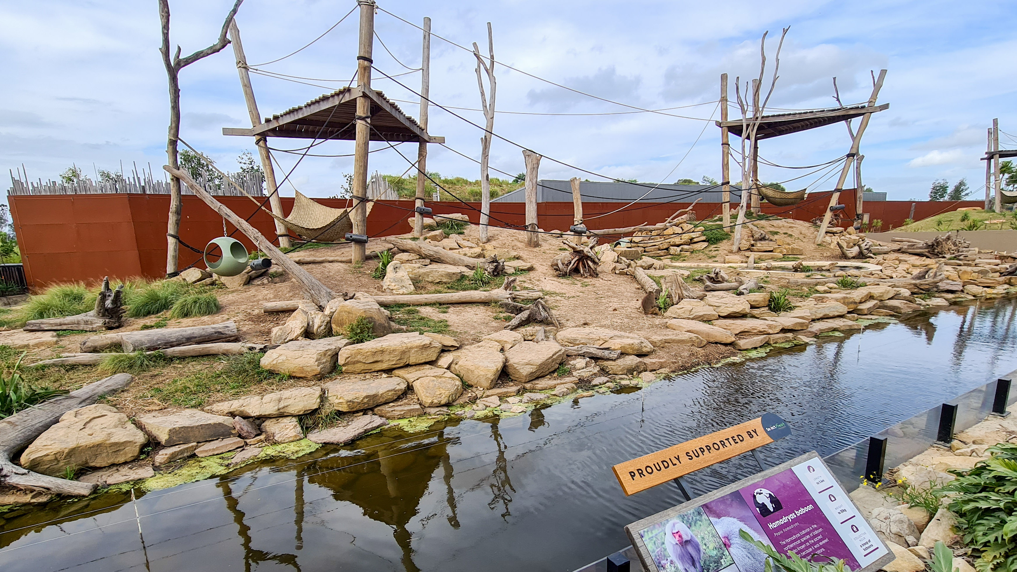 Hamadryas baboon enclosure