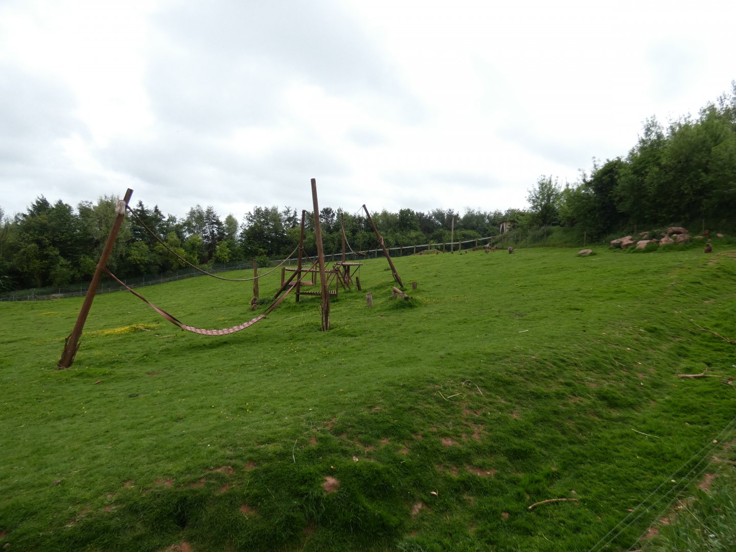 Hamadryas baboon enclosure