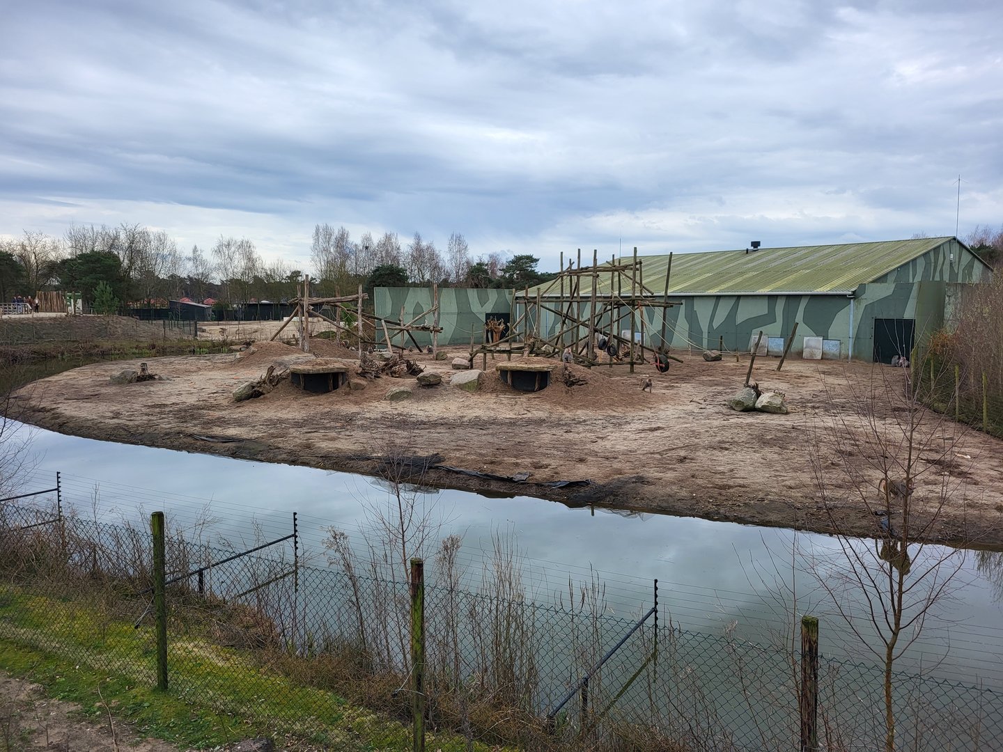 Hamadryas baboon enclosure