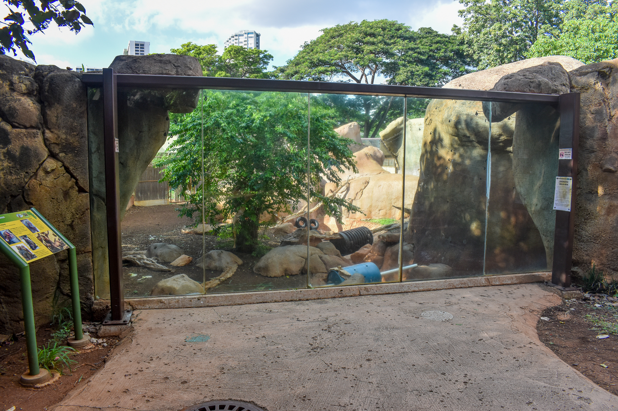 Hamadryas baboon enclosure