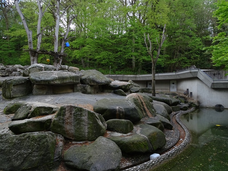 Hamadryas baboon enclosure