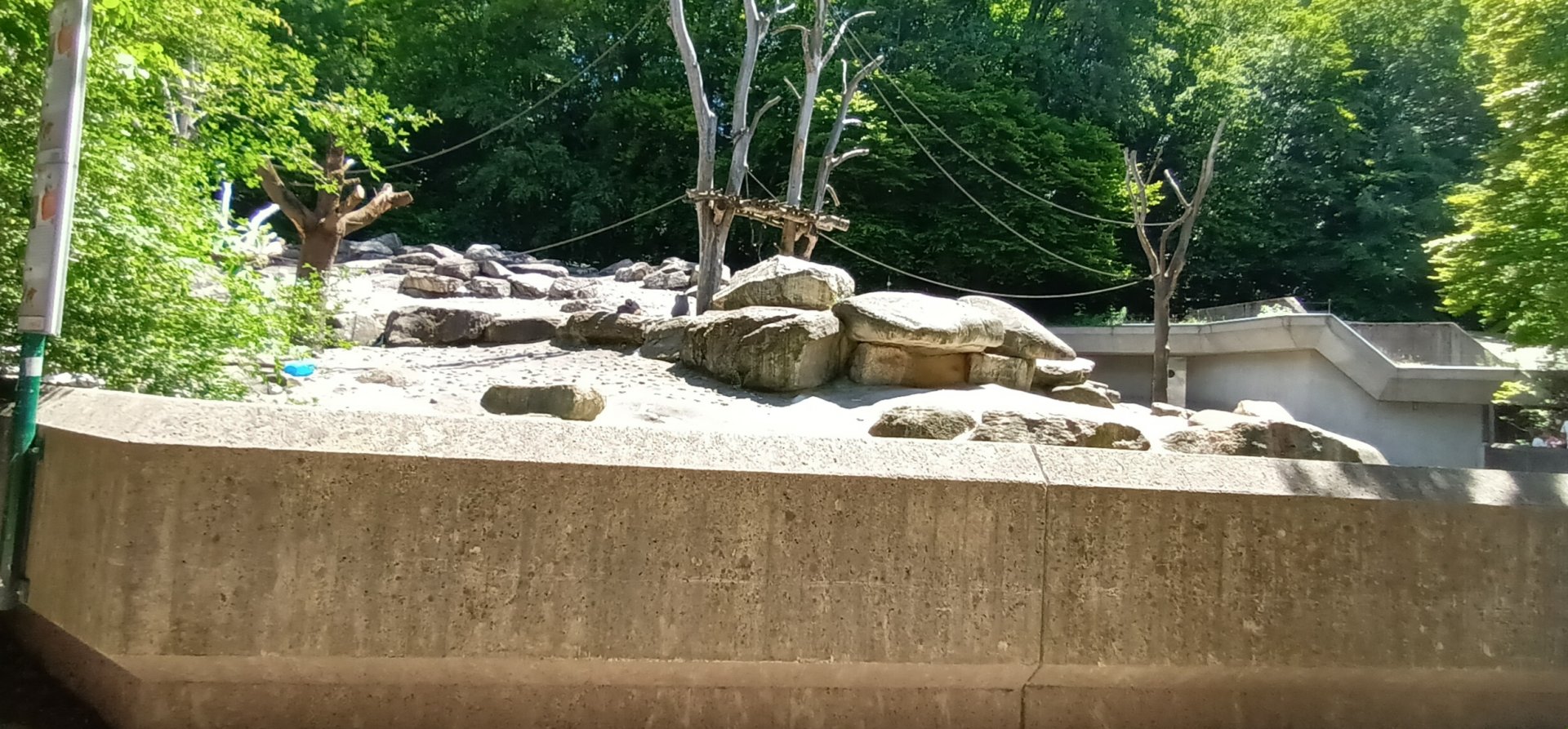 Hamadryas Baboon Enclosure
