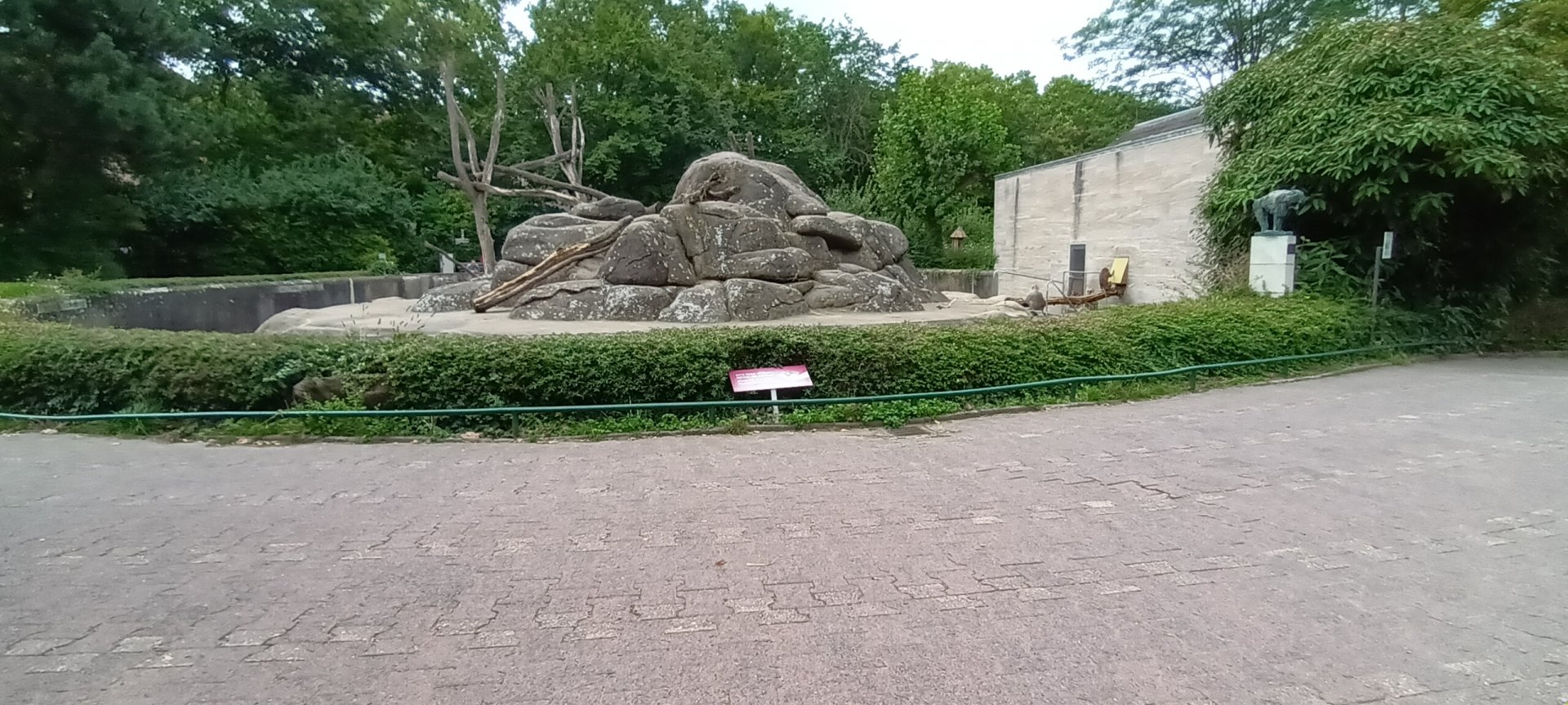 Hamadryas Baboon Enclosure