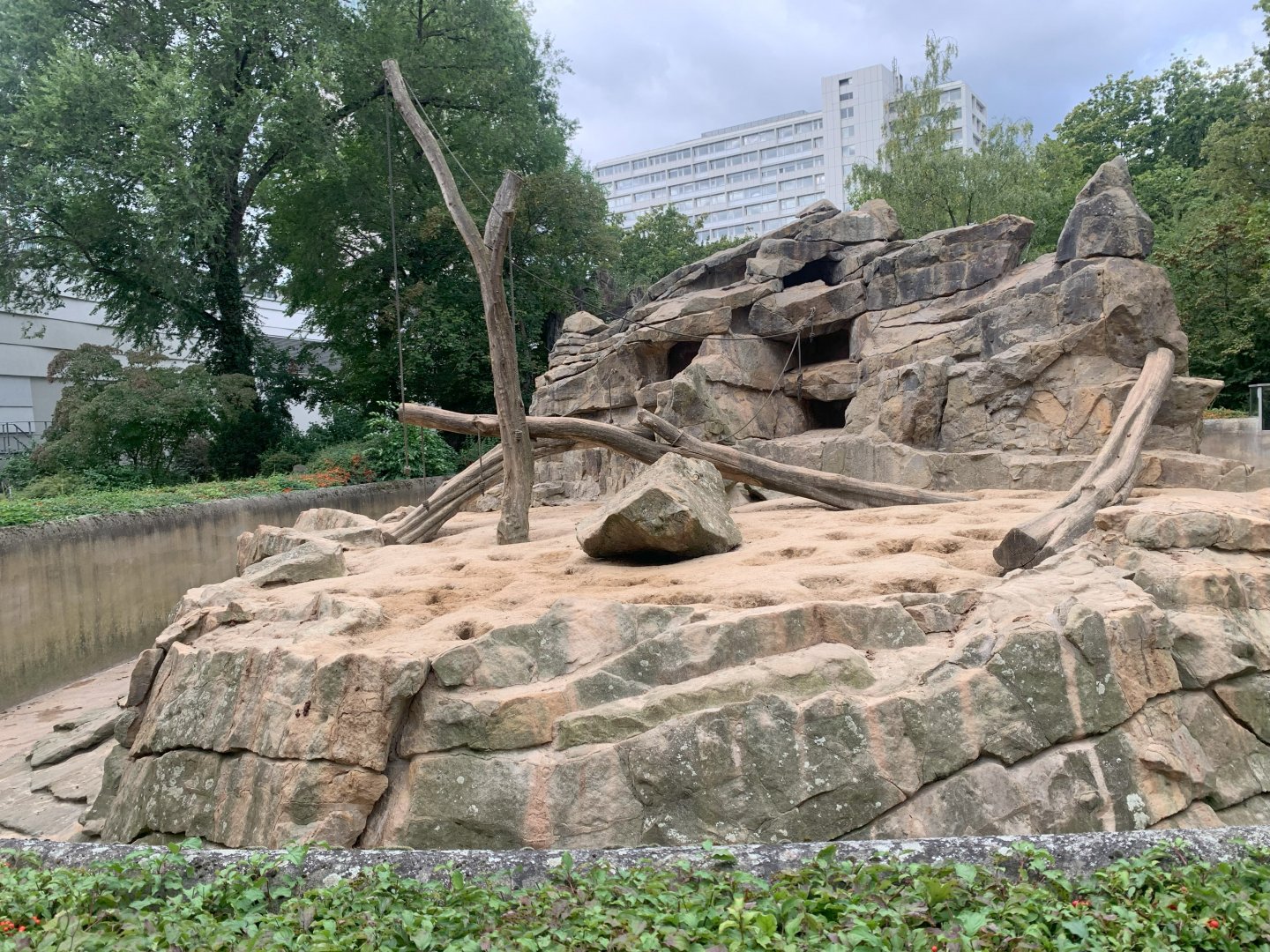 Hamadryas Baboon enclosure