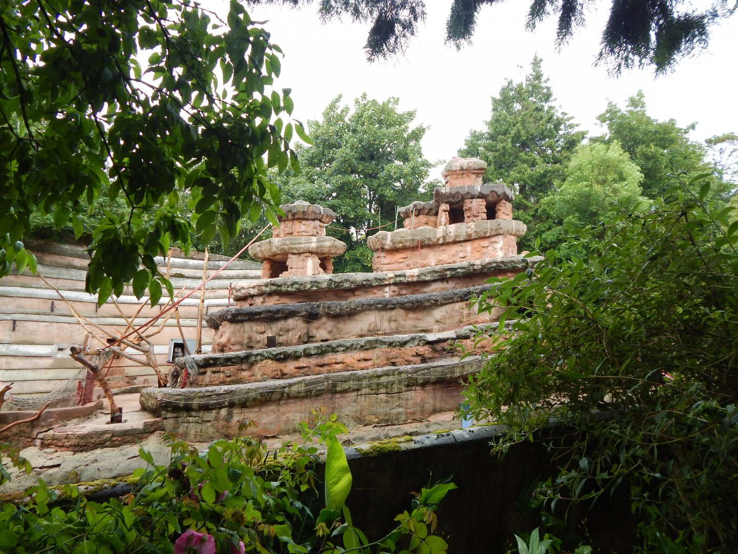 Hamadryas baboon exhibit 130624