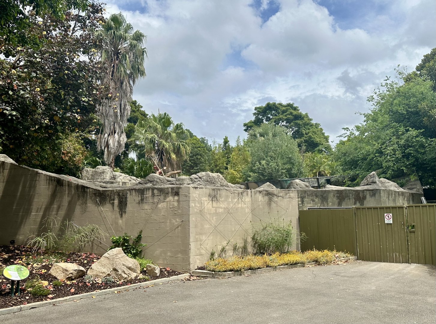 Hamadryas Baboon Exhibit (Back Wall)