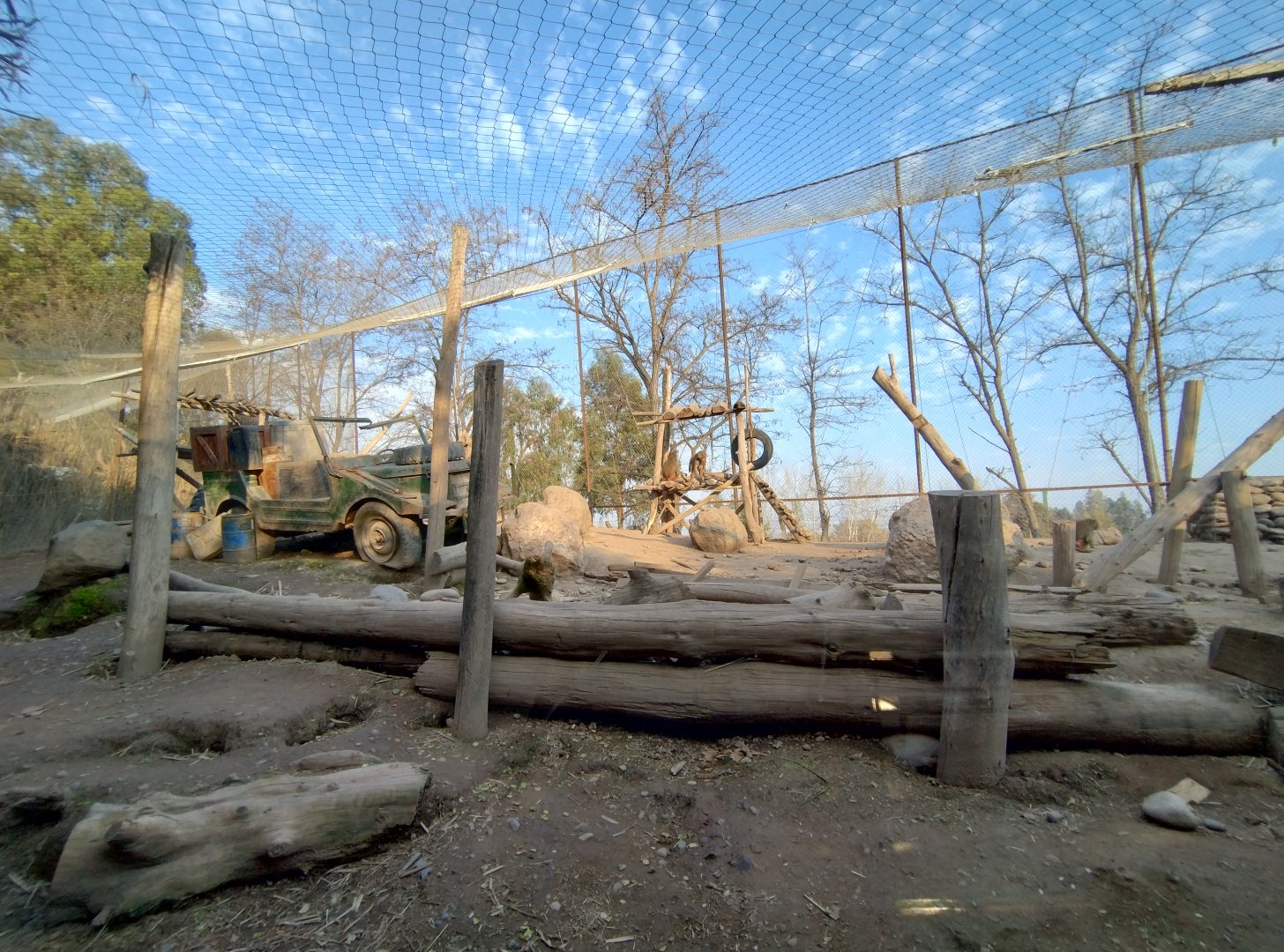 Hamadryas baboon exhibit - Buin zoo