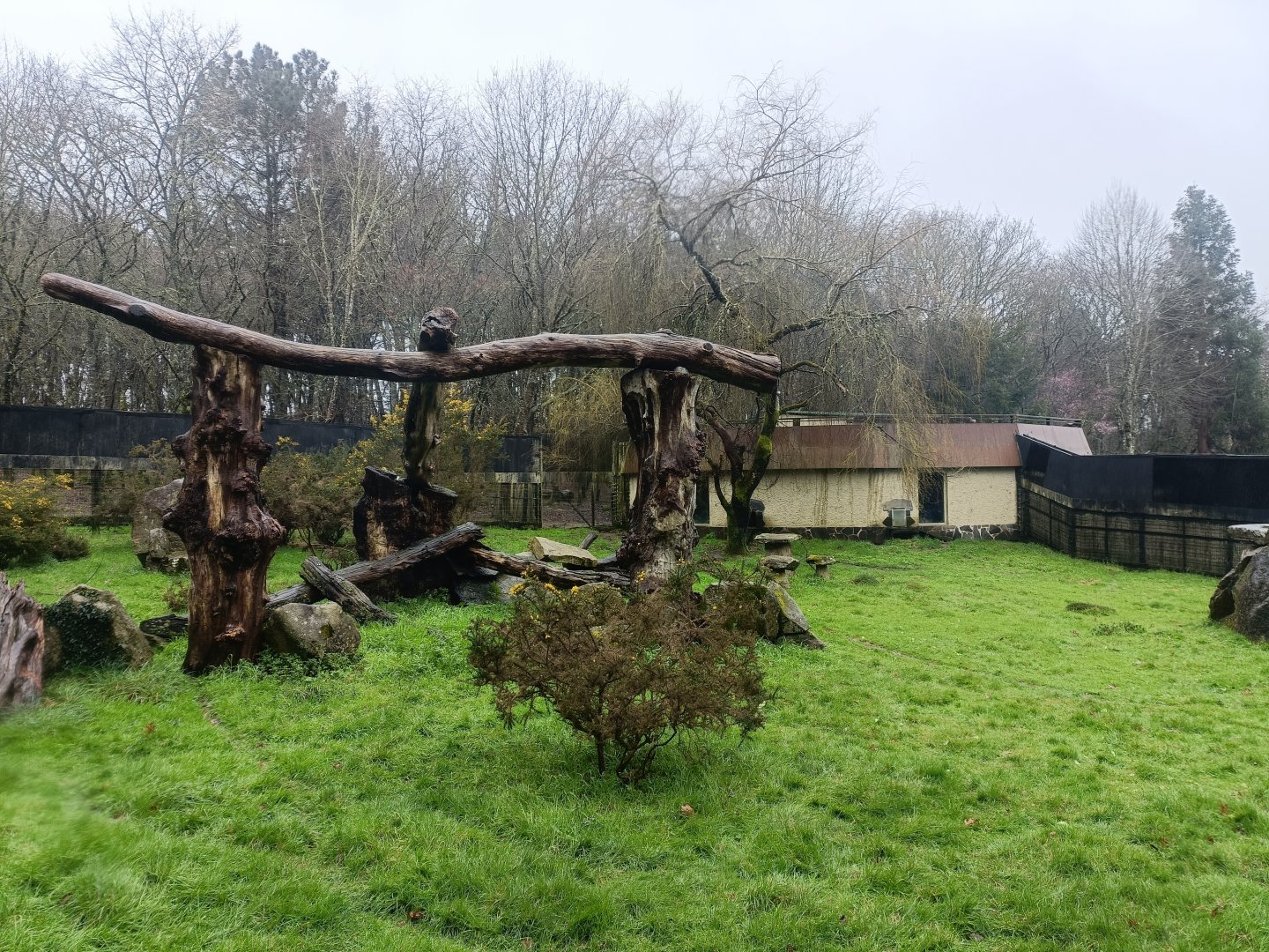 Hamadryas baboon exhibit -Marcelle Naturaleza