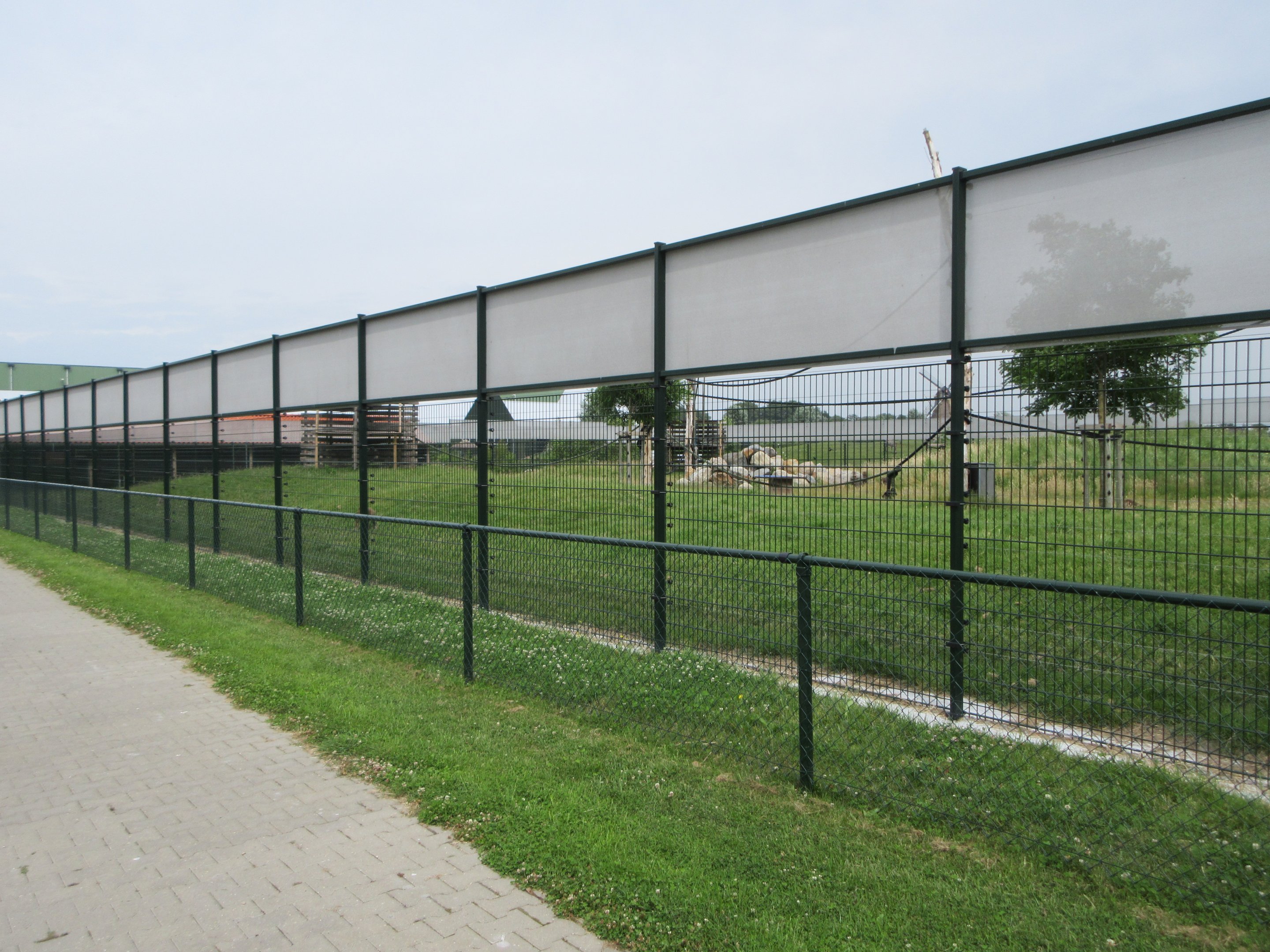 Hamadryas Baboon Exhibit (New in 2019)