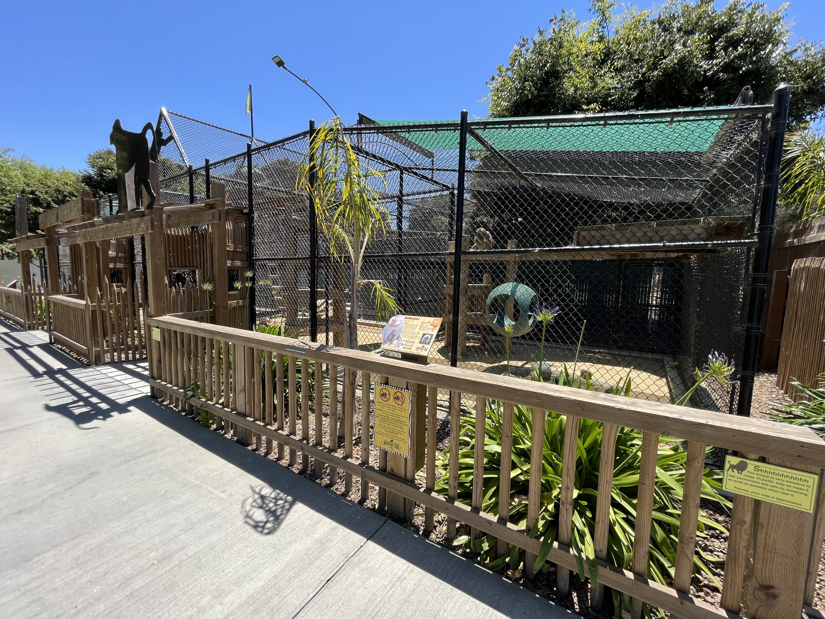 Hamadryas Baboon Exhibit - New