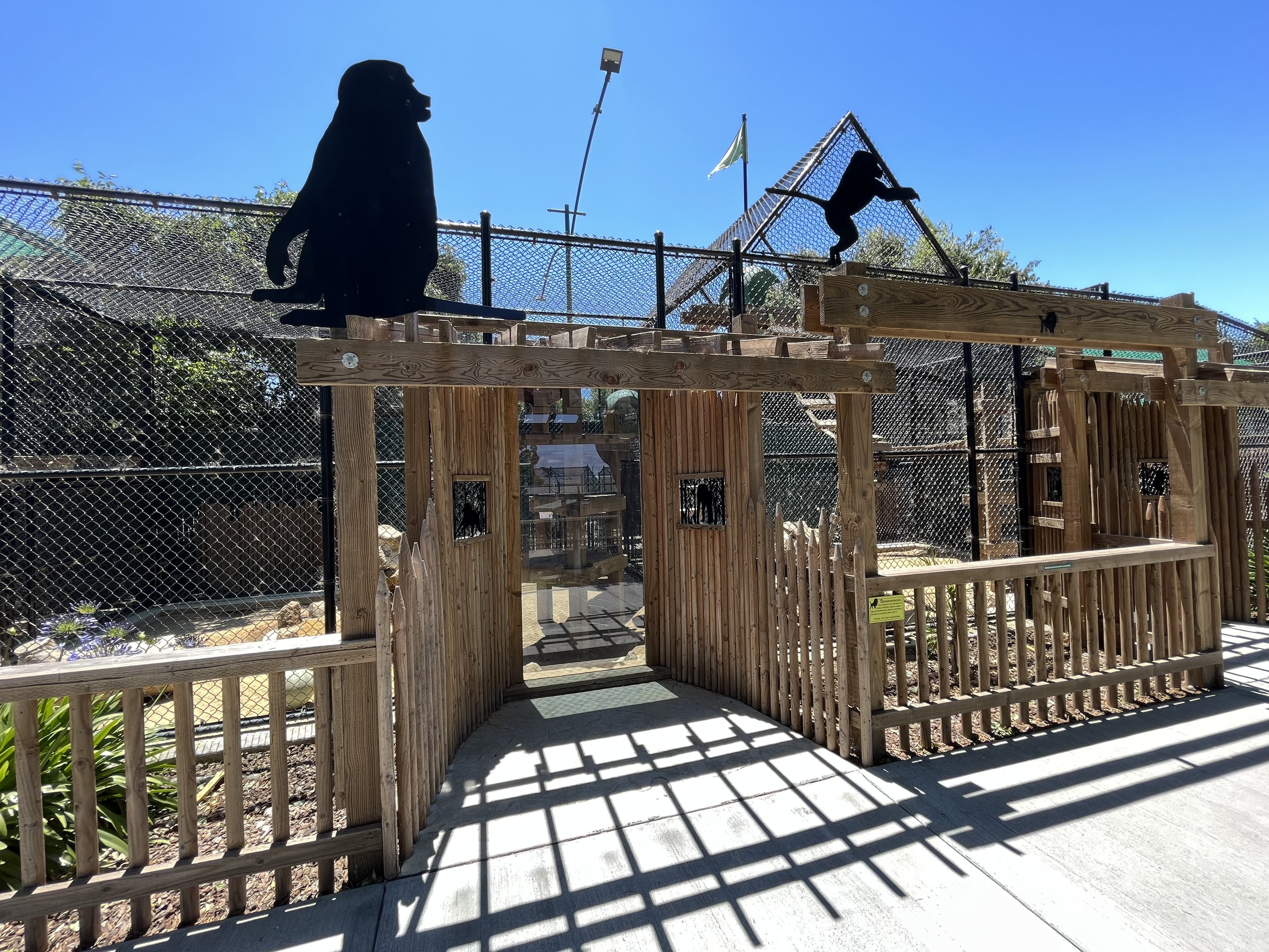 Hamadryas Baboon Exhibit - New