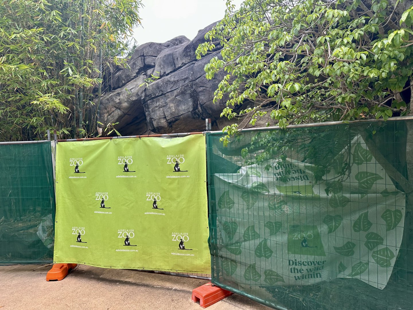 Hamadryas Baboon Exhibit (Partially Closed)