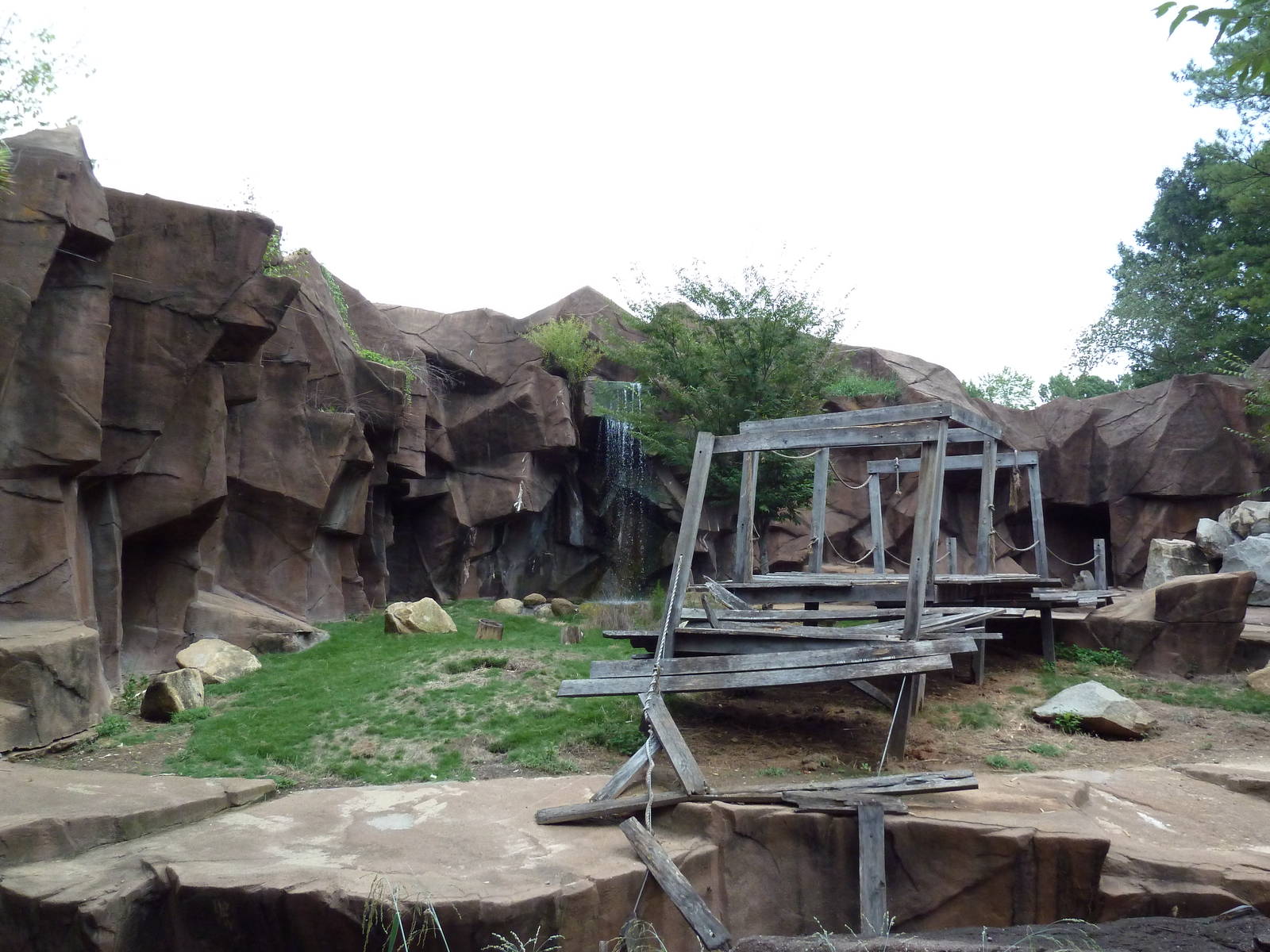 Hamadryas Baboon Exhibit