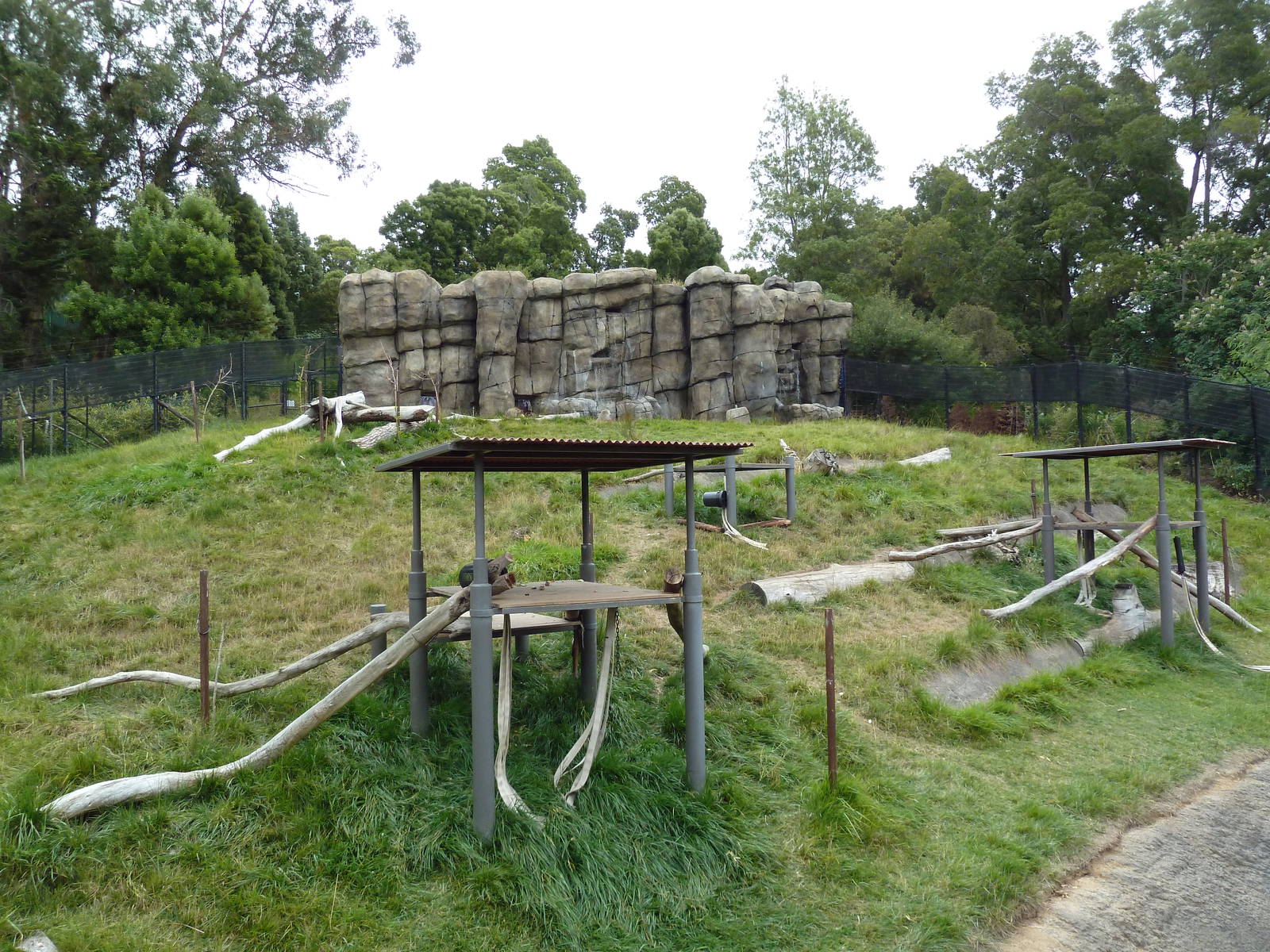 Hamadryas Baboon Exhibit