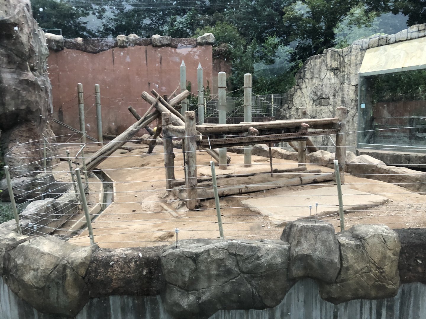 Hamadryas Baboon Exhibit