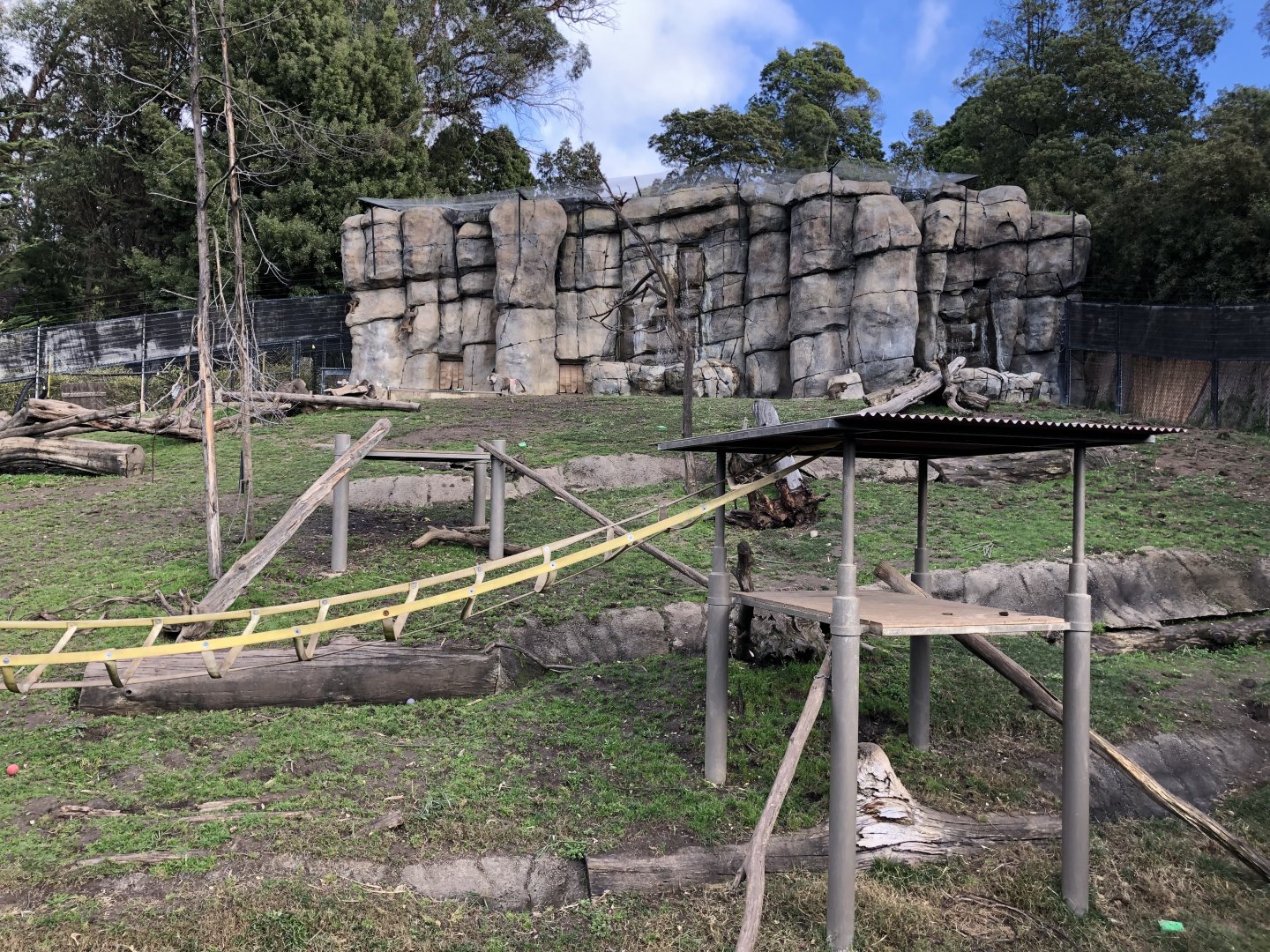 Hamadryas baboon exhibit