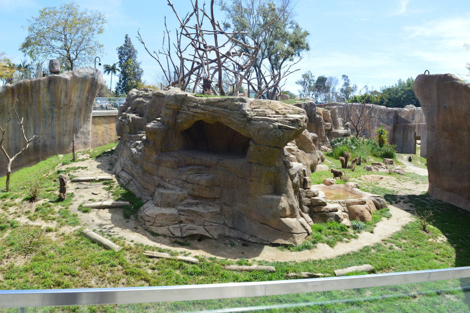 Hamadryas Baboon Exhibit
