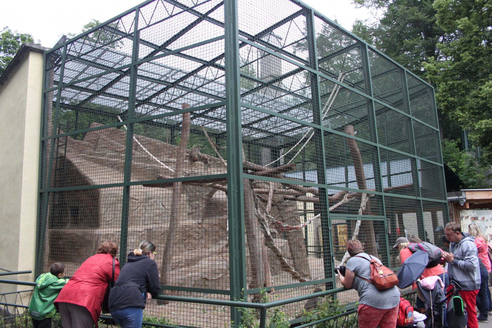 Hamadryas baboon exhibit