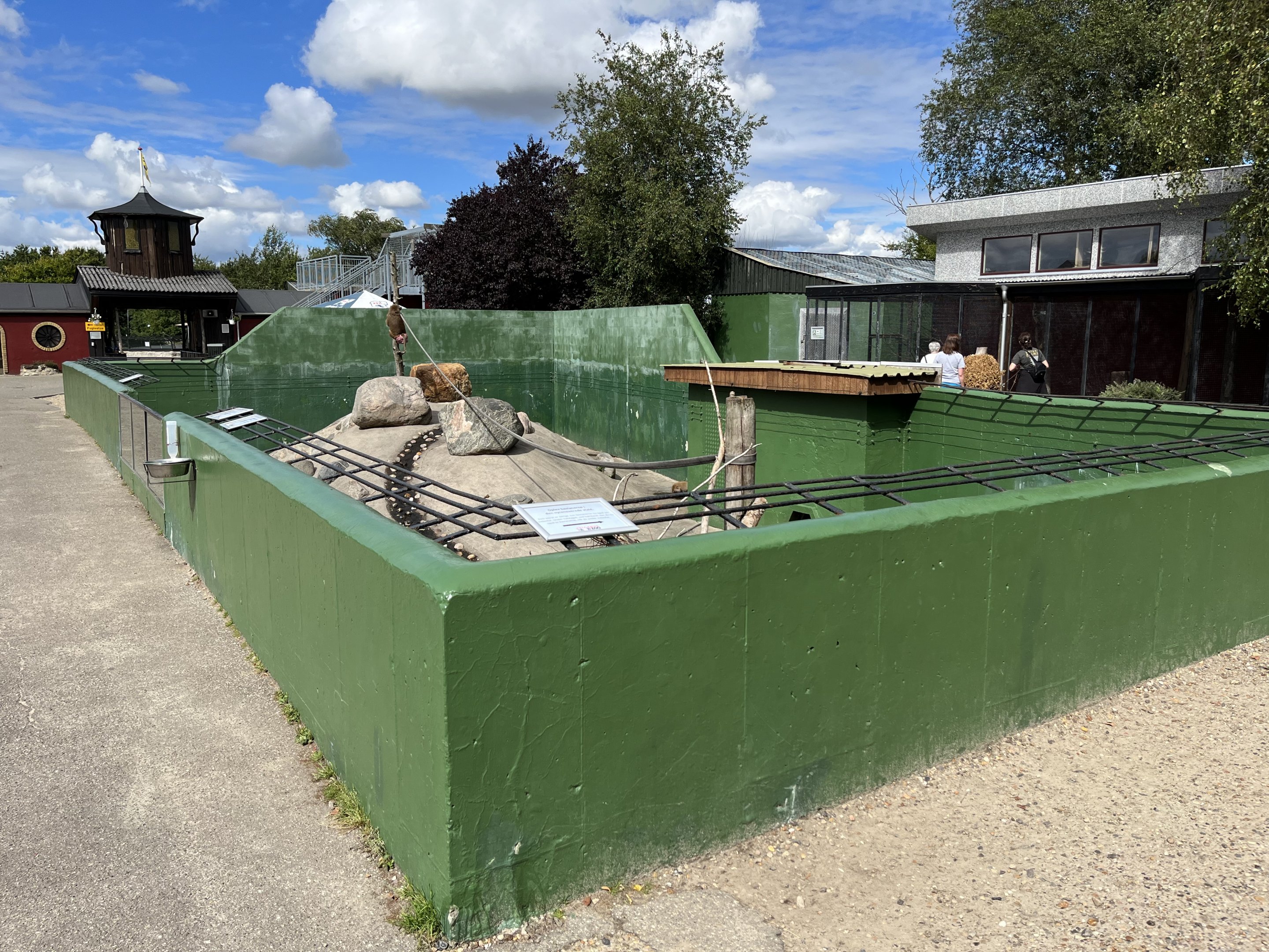 Hamadryas Baboon Exhibit