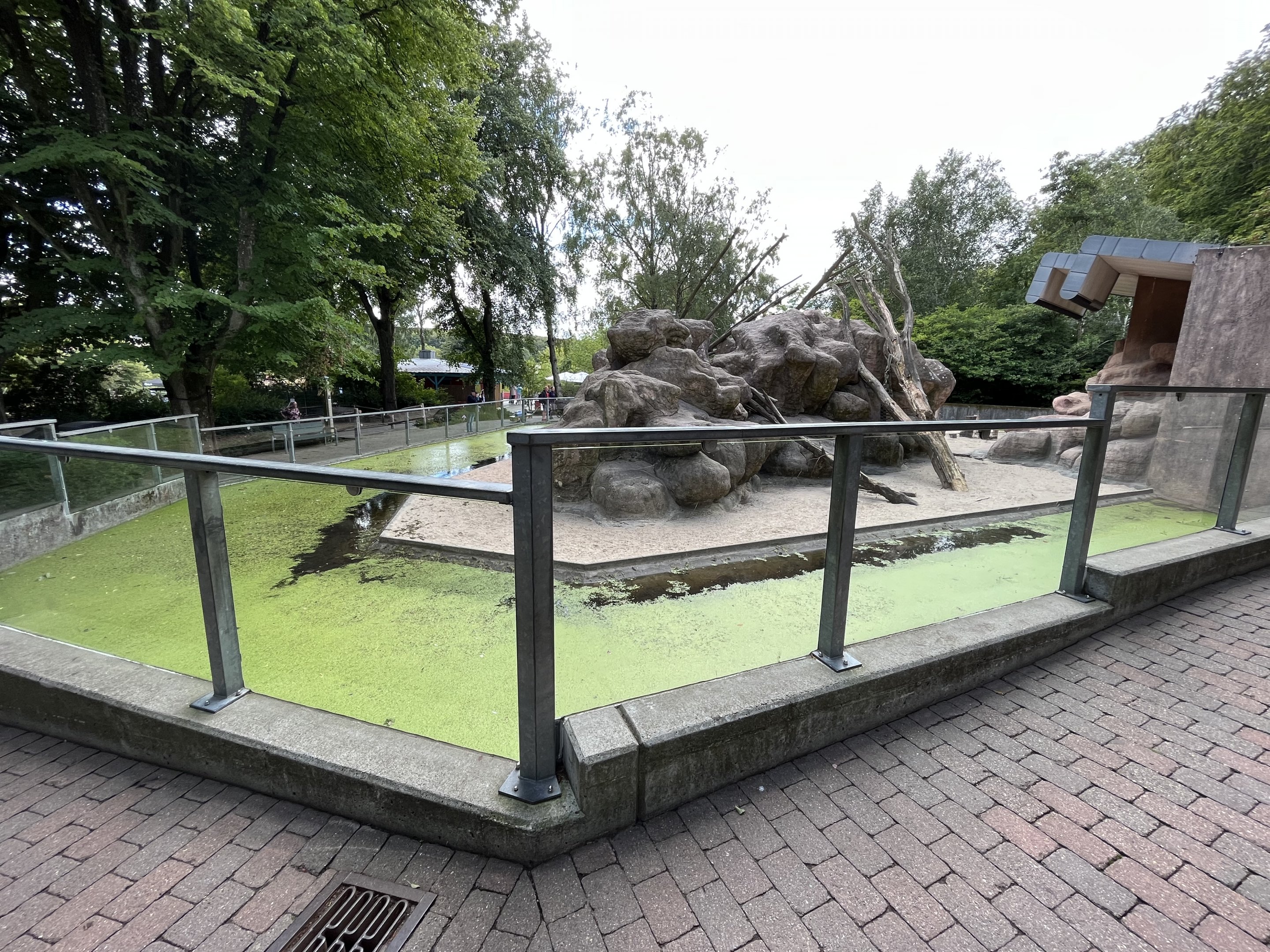 Hamadryas Baboon Exhibit