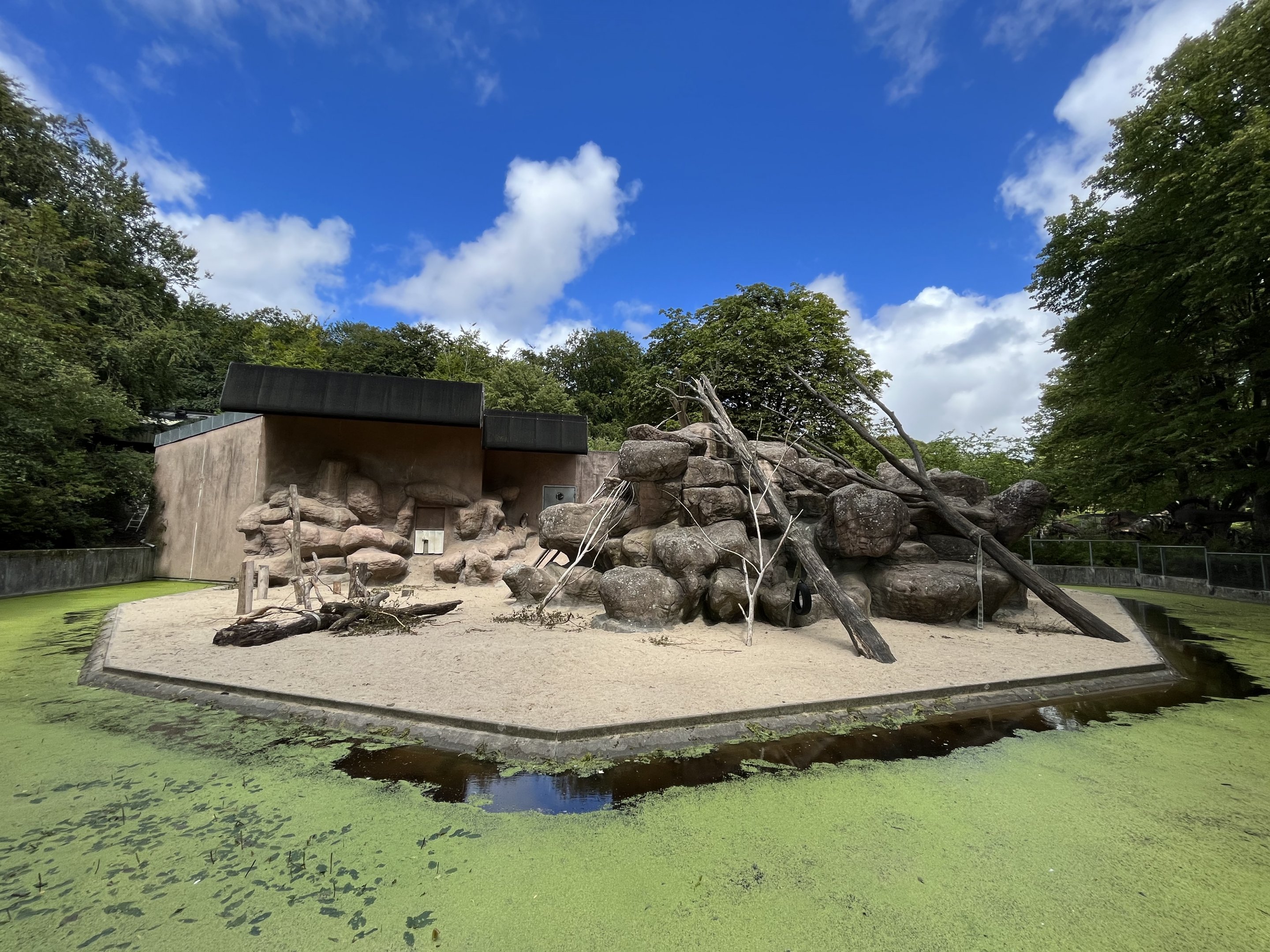 Hamadryas Baboon Exhibit