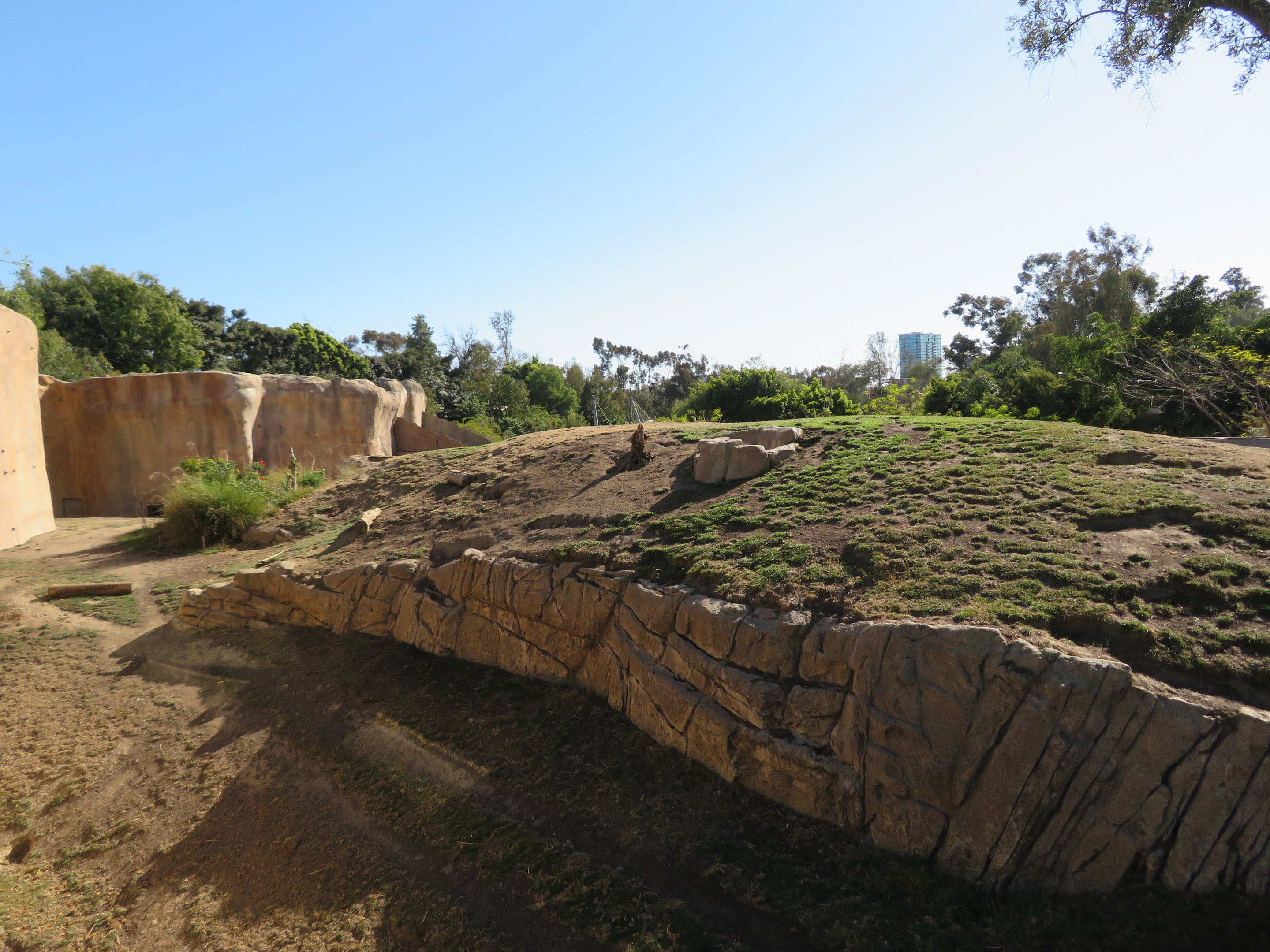 Hamadryas Baboon Exhibit