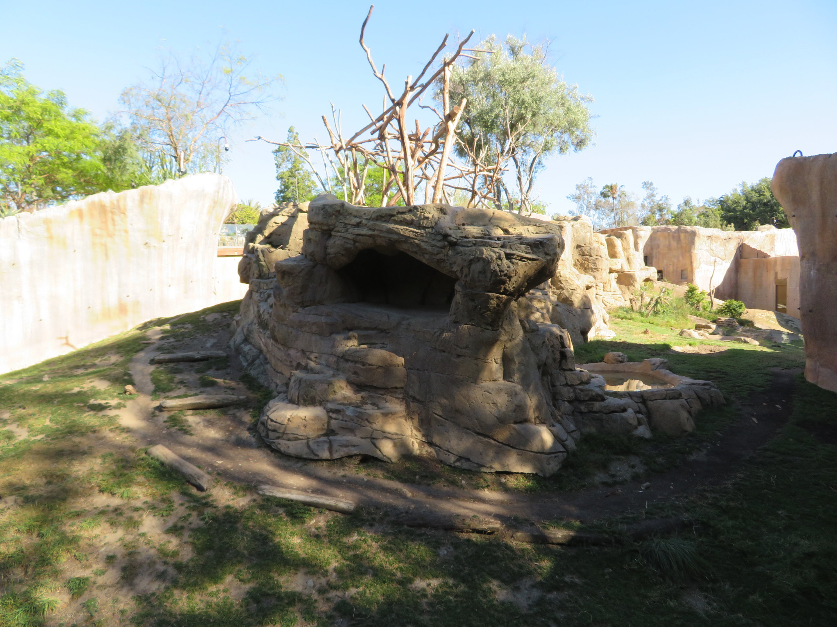Hamadryas Baboon Exhibit