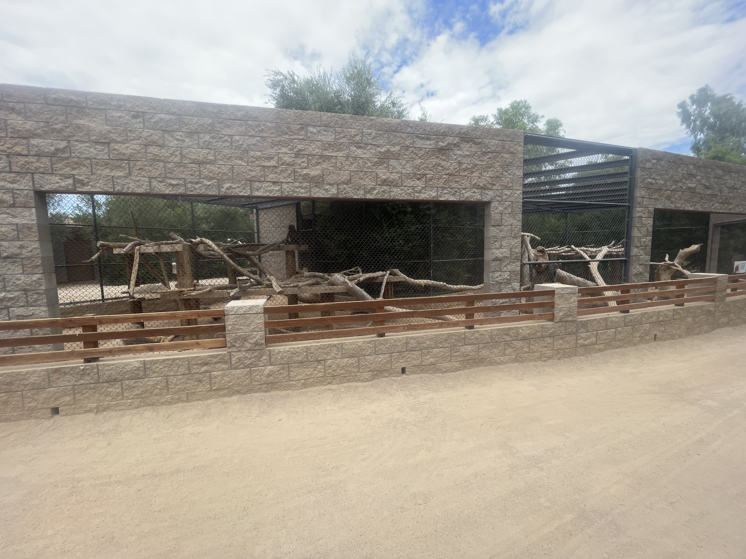 Hamadryas Baboon Exhibit