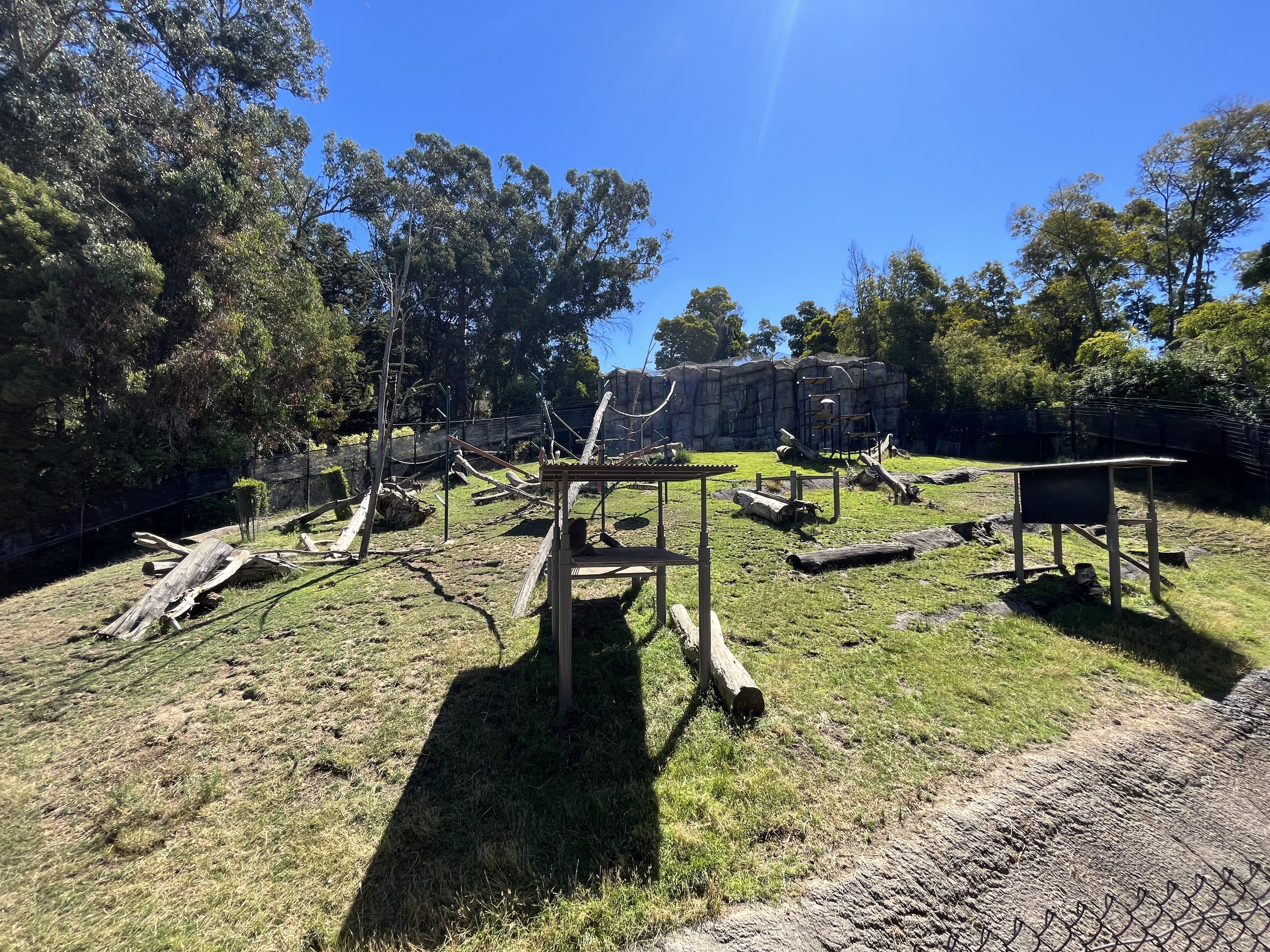Hamadryas Baboon Exhibit