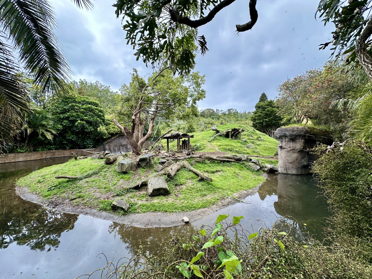 Hamadryas Baboon Exhibit