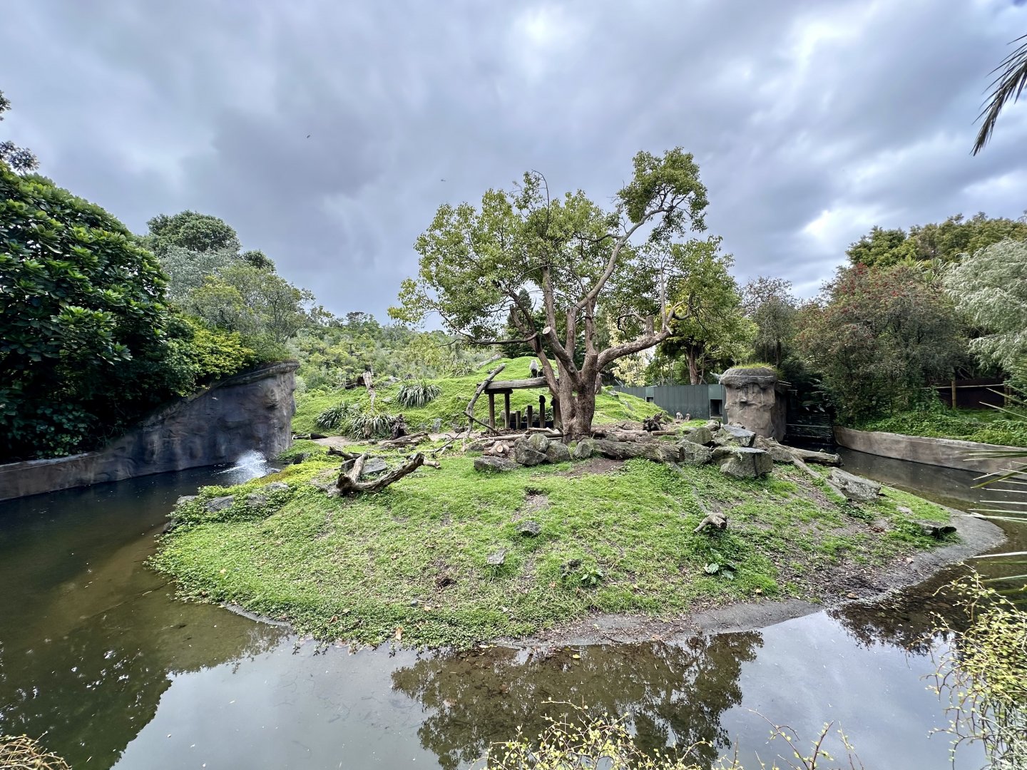 Hamadryas Baboon Exhibit