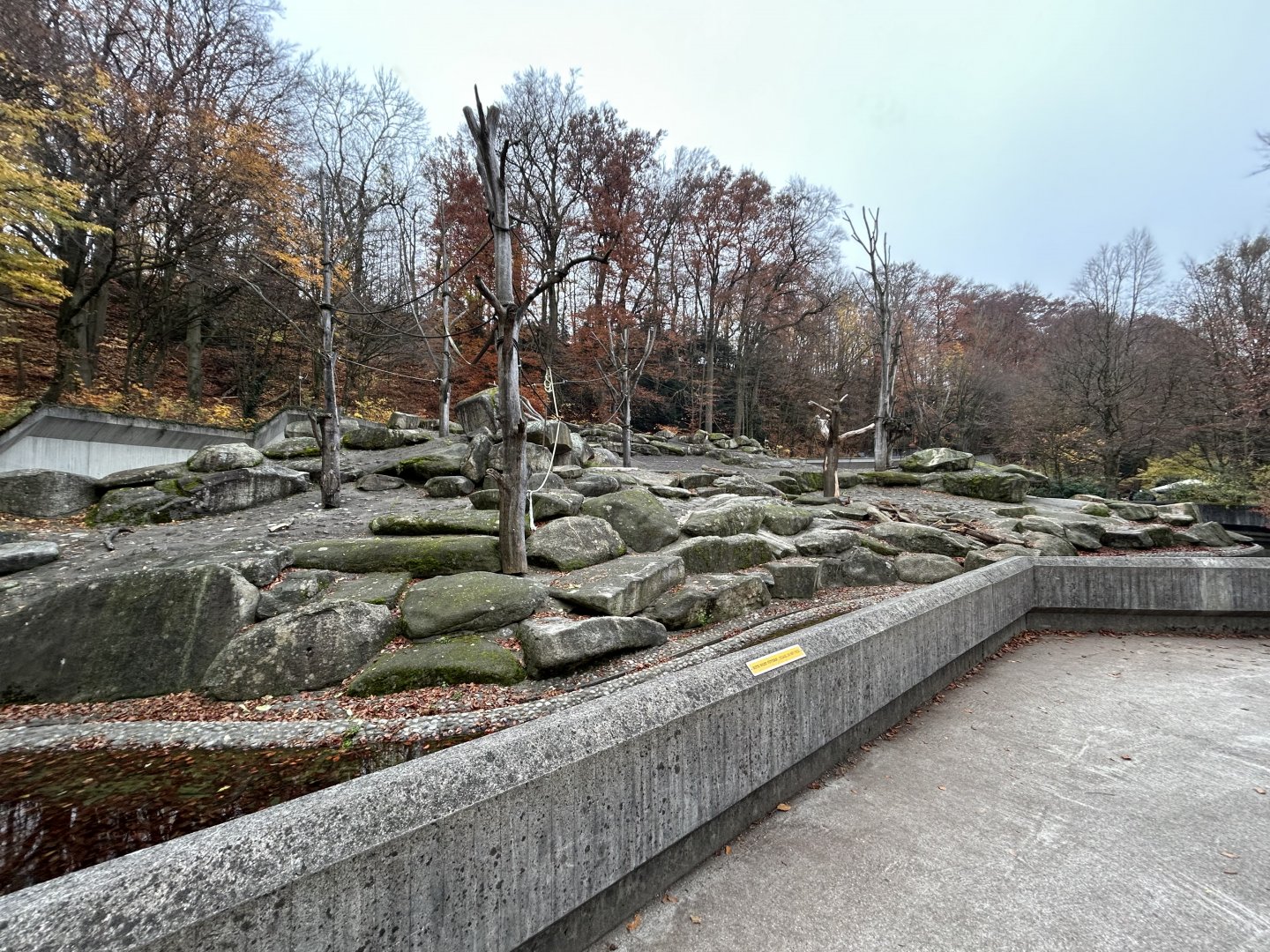 Hamadryas Baboon Exhibit