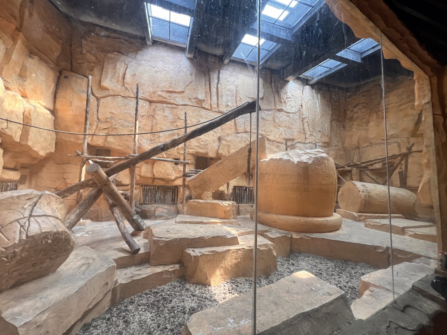 Hamadryas Baboon Indoor Exhibit