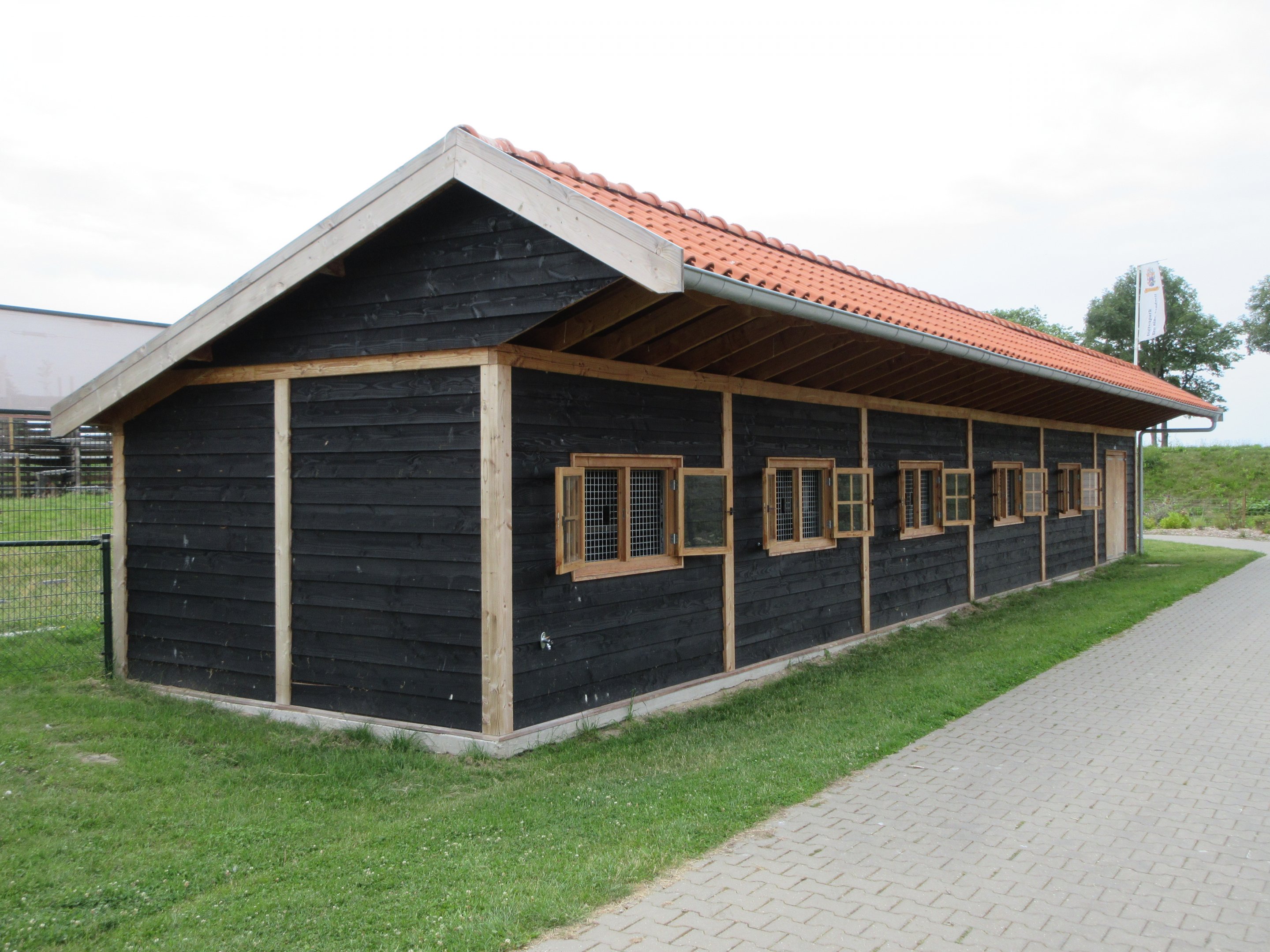 Hamadryas Baboon - Indoor Quarters (New in 2019)