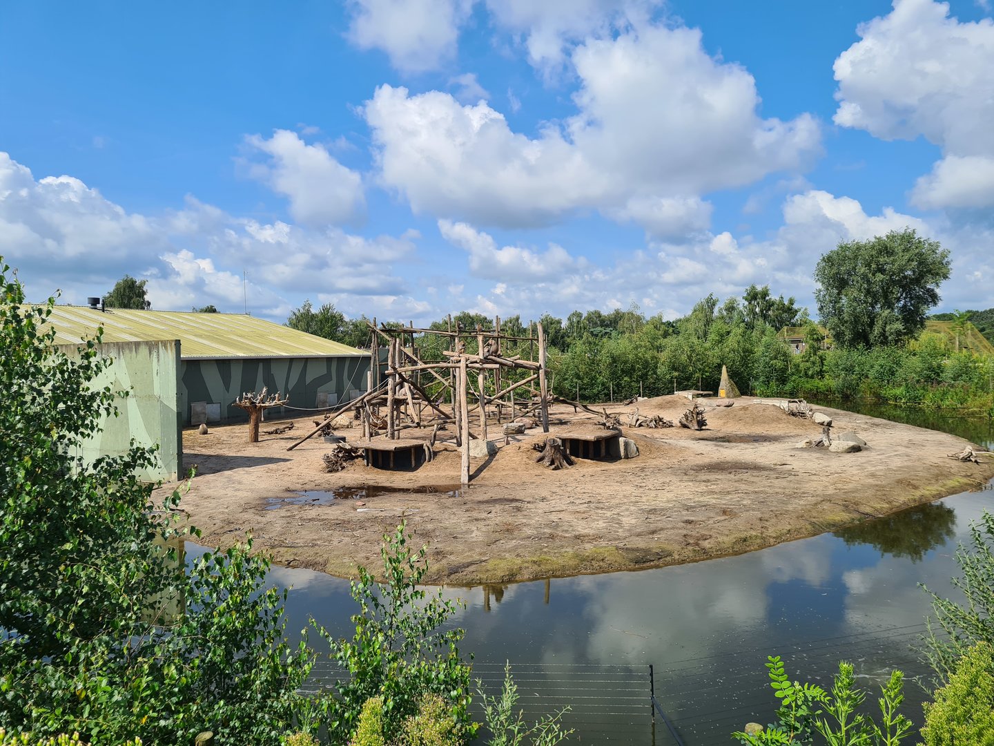 Hamadryas baboon island