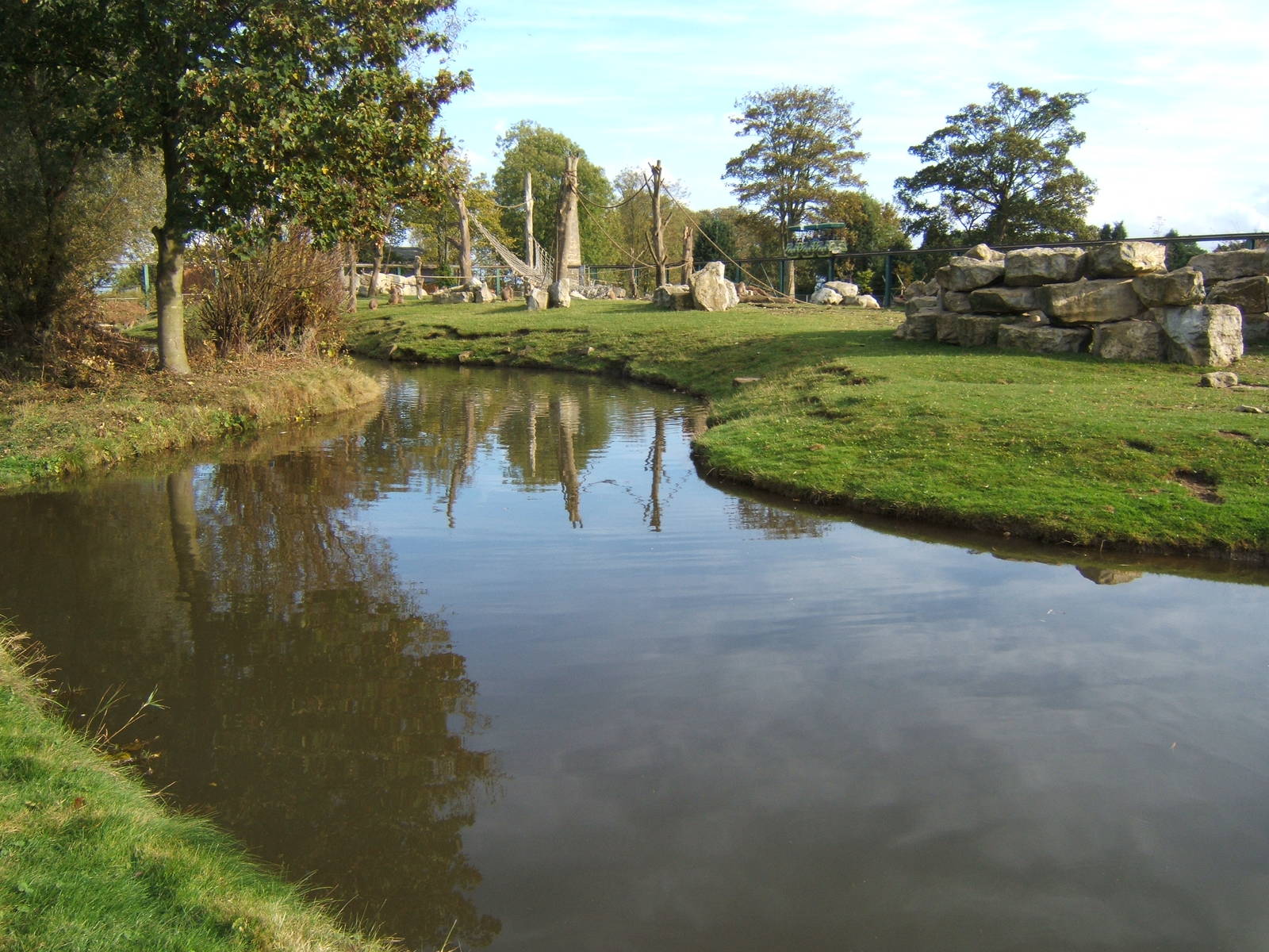 Hamadryas Baboon Island