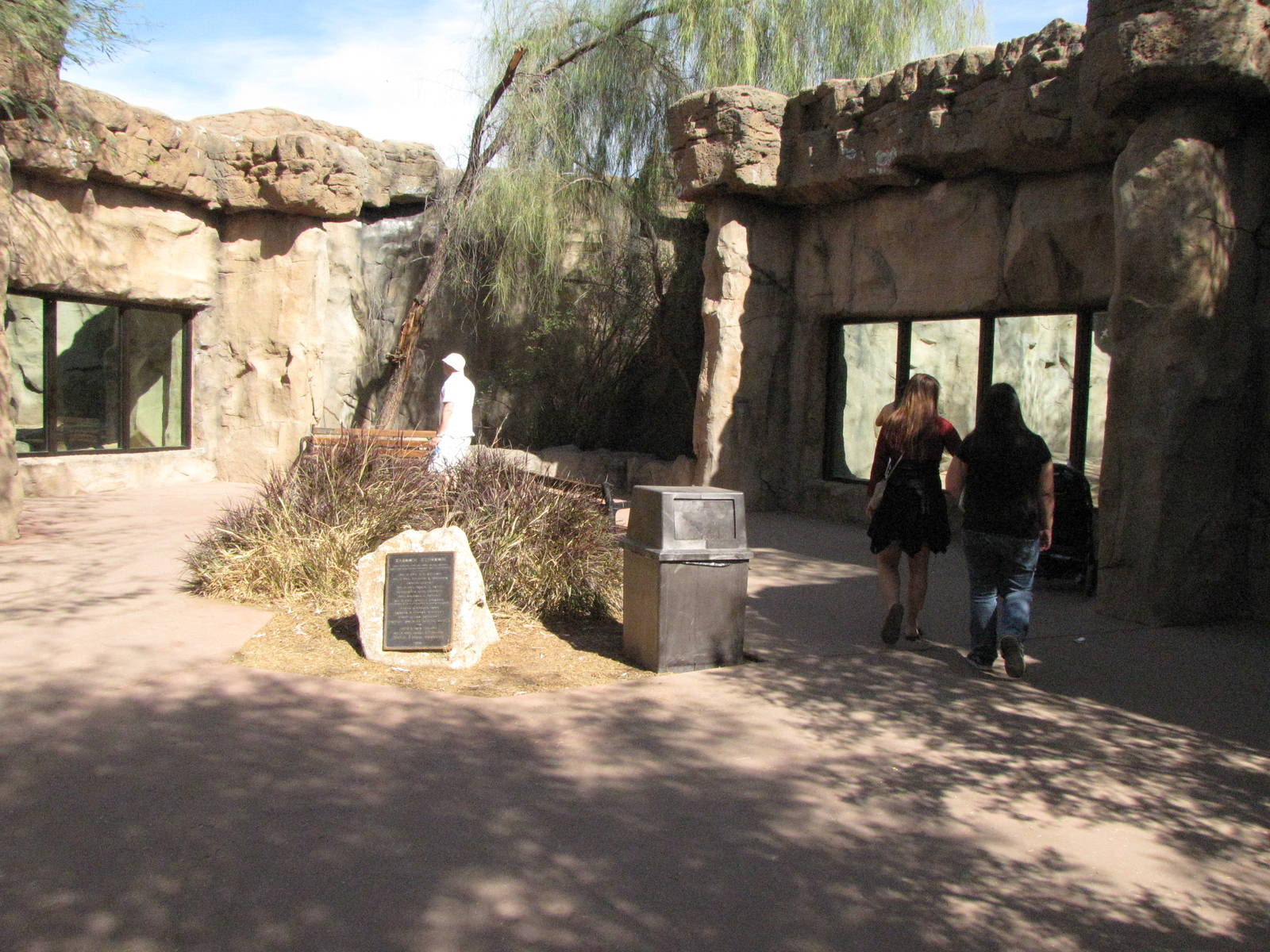Hamadryas Baboon/Mandrill Viewing Windows