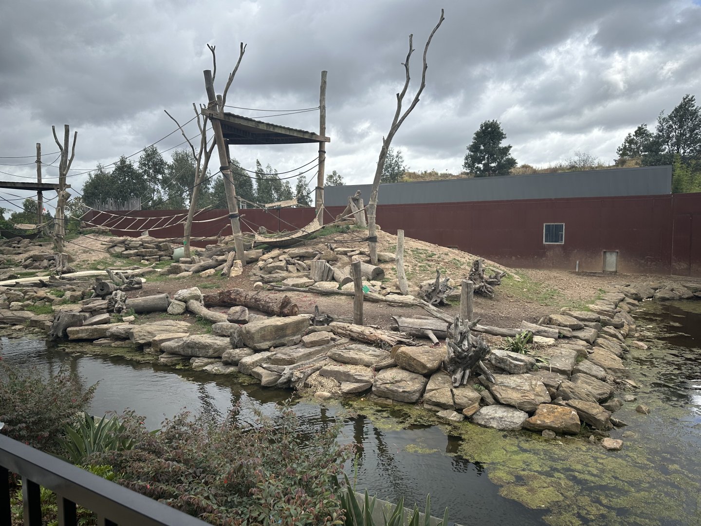 Hamadryas Baboon Night House
