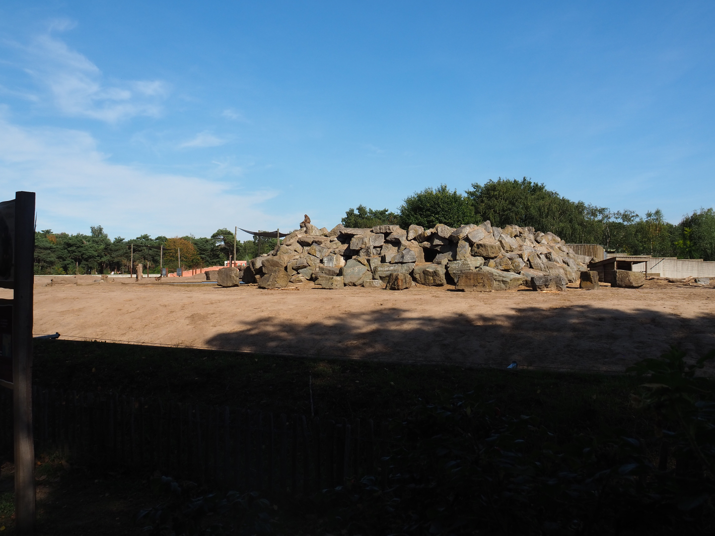 Hamadryas baboon rock in the African bush elephant and Hamadryas baboon exhibit, 2019-09-15