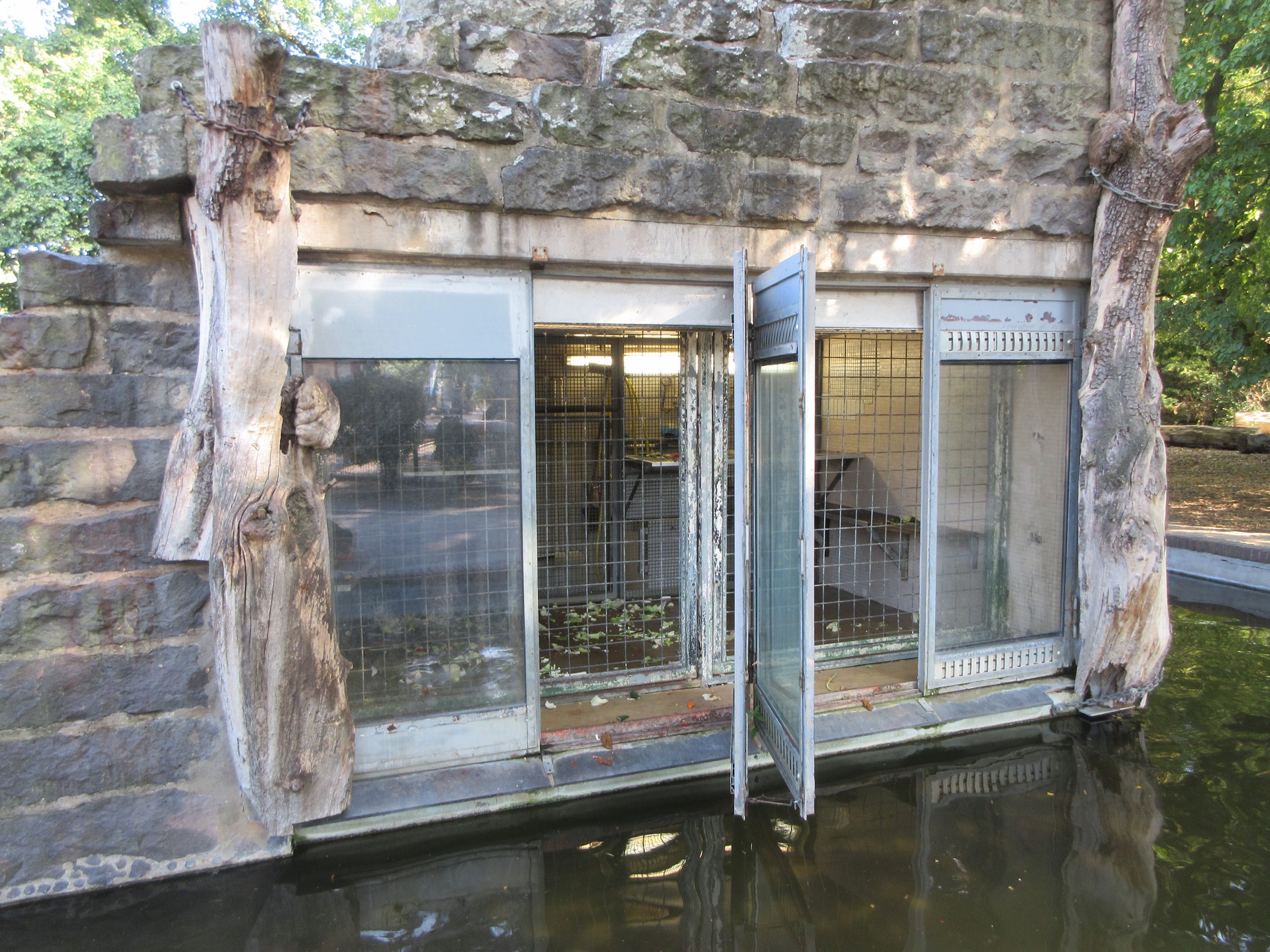 Hamadryas Baboon 'Rock' - tiny indoor quarters