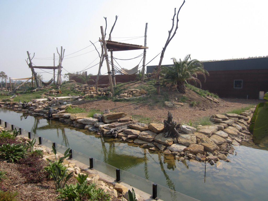 Hamadryas (Sacred) Baboon exhibit