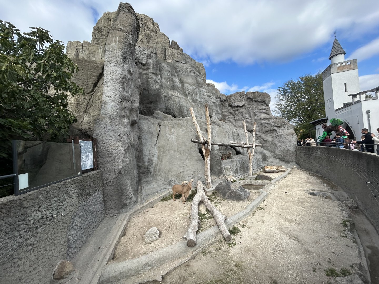 Hamadrydas Baboon & Barbary Sheep Exhibit