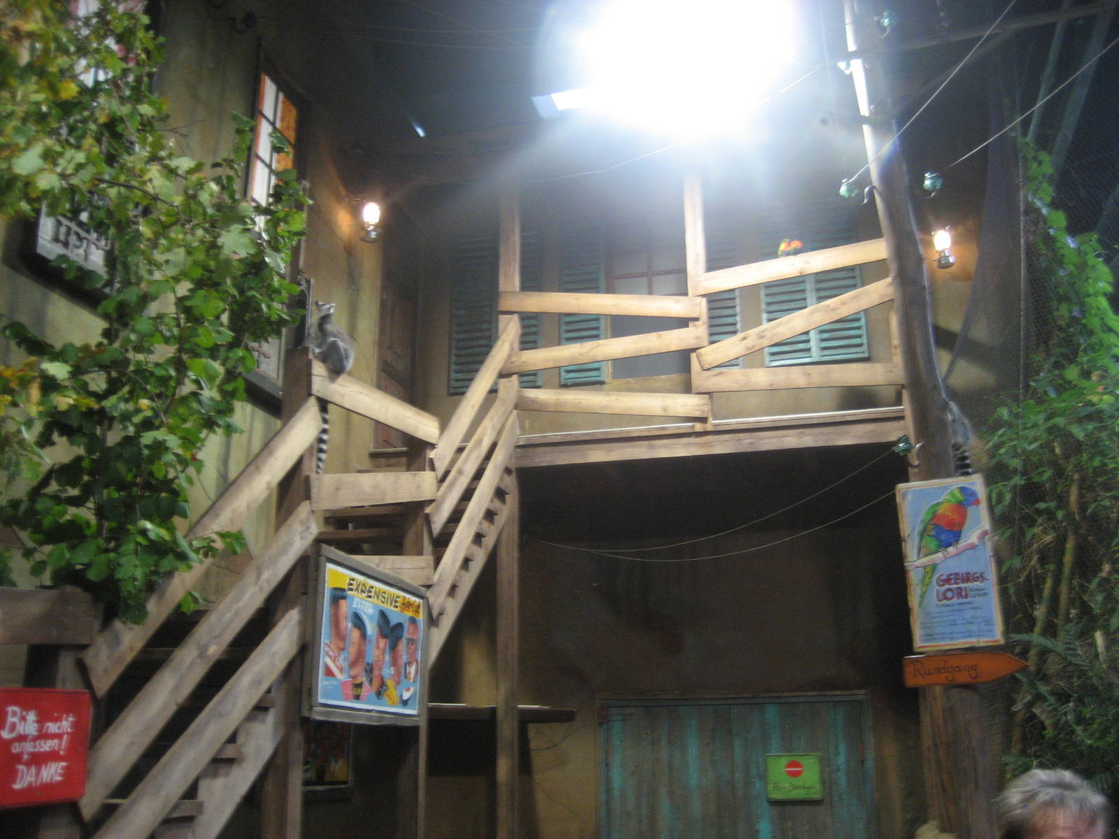 Hamburg Tropen Aquarium - Ring-tailed lemur exhibit