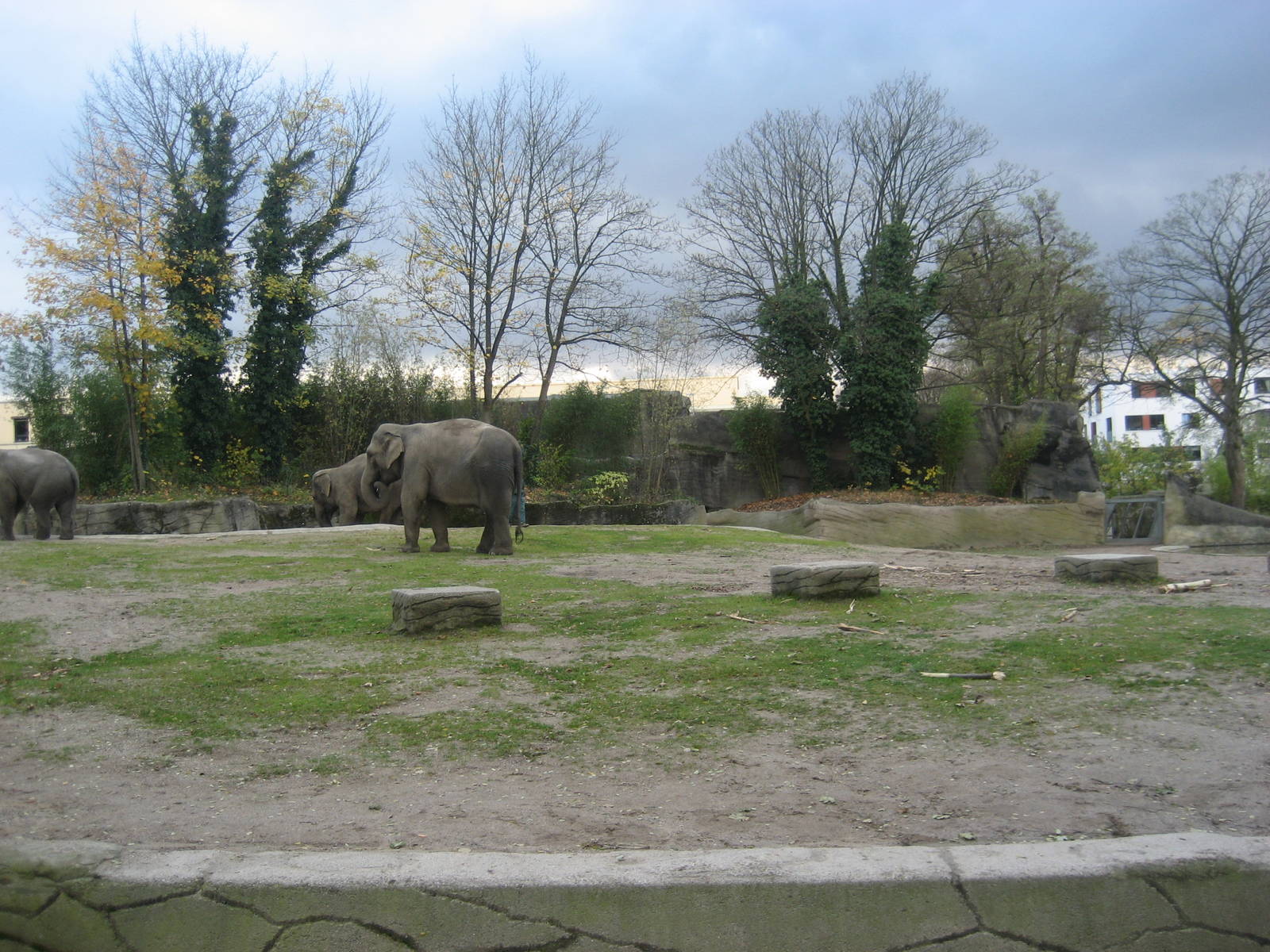 Hamburg Zoo - Elephant exhibit