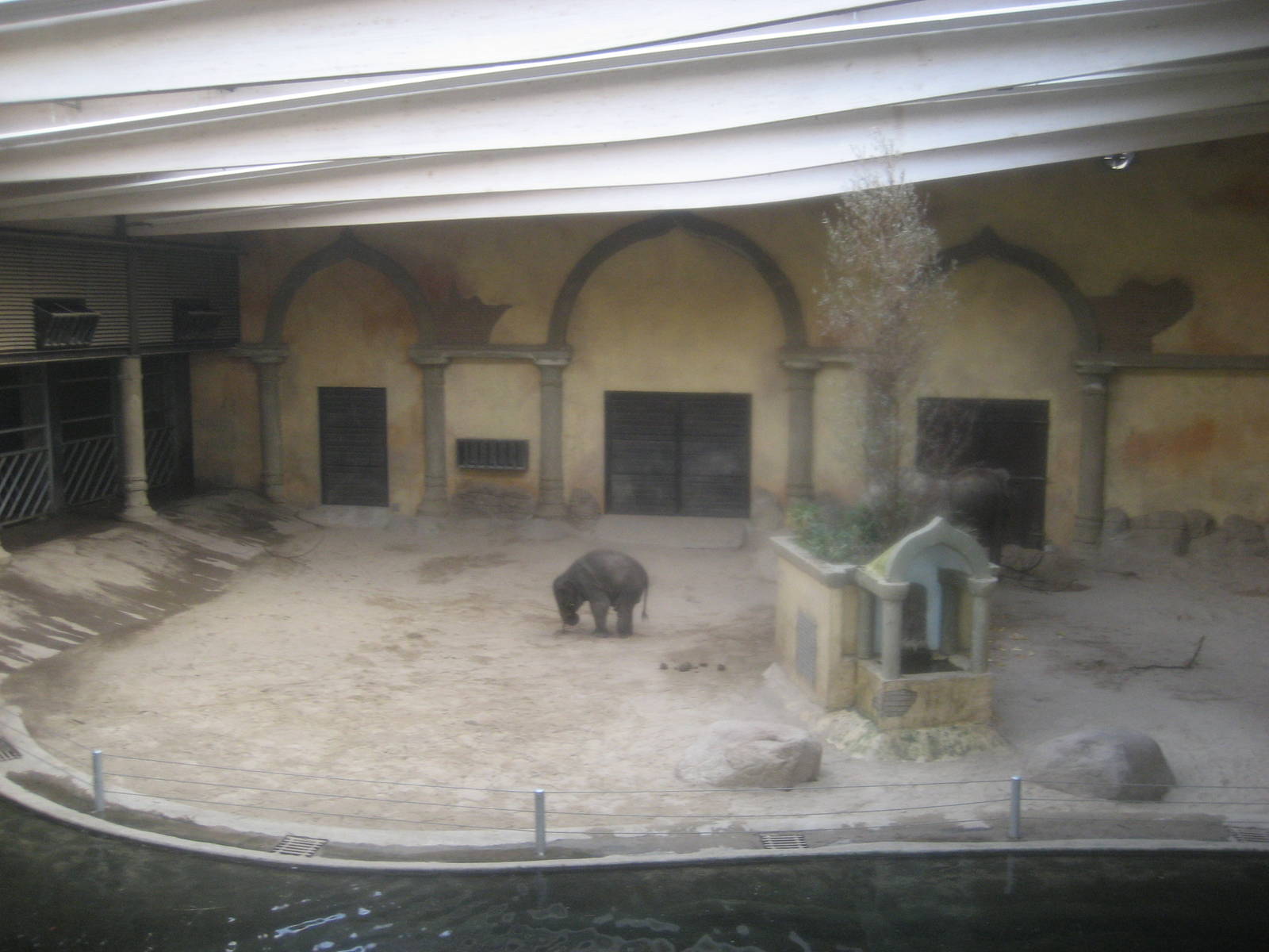 Hamburg Zoo - Elephant indoor exhibit