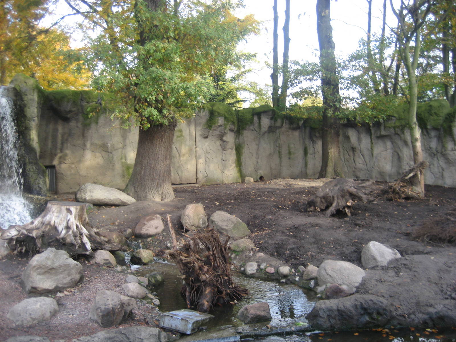 Hamburg Zoo - Kamchatka bear exhibit